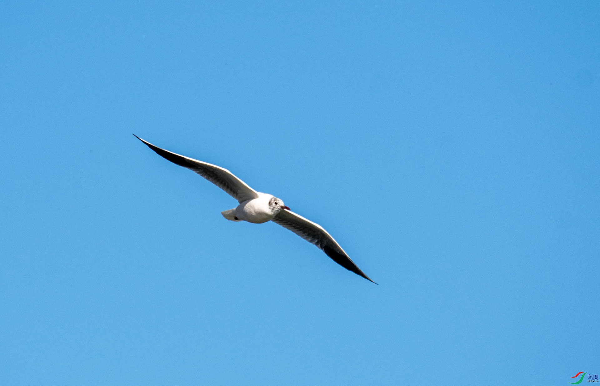 DSC_7695.jpg