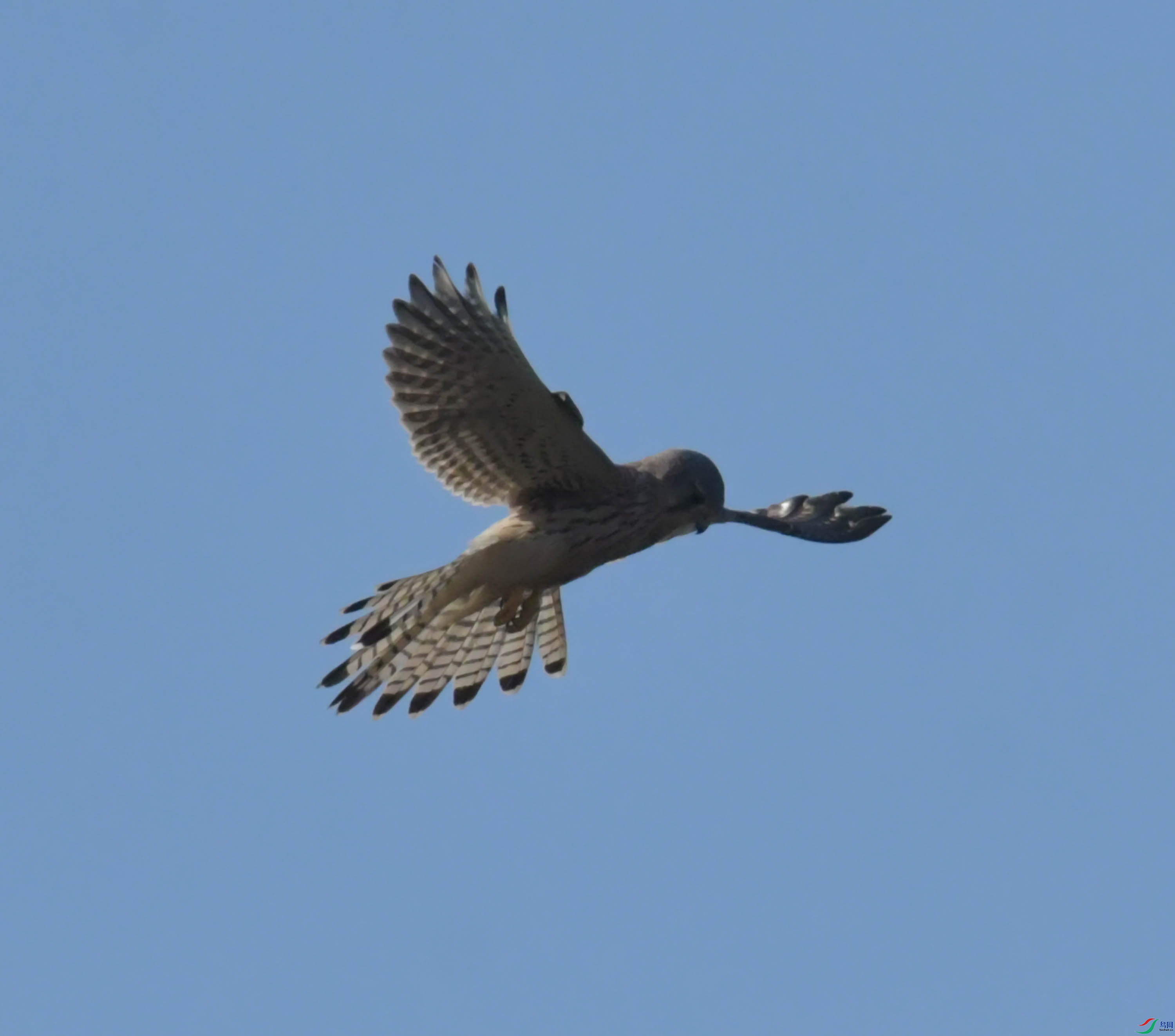 DSC_1211.JPG