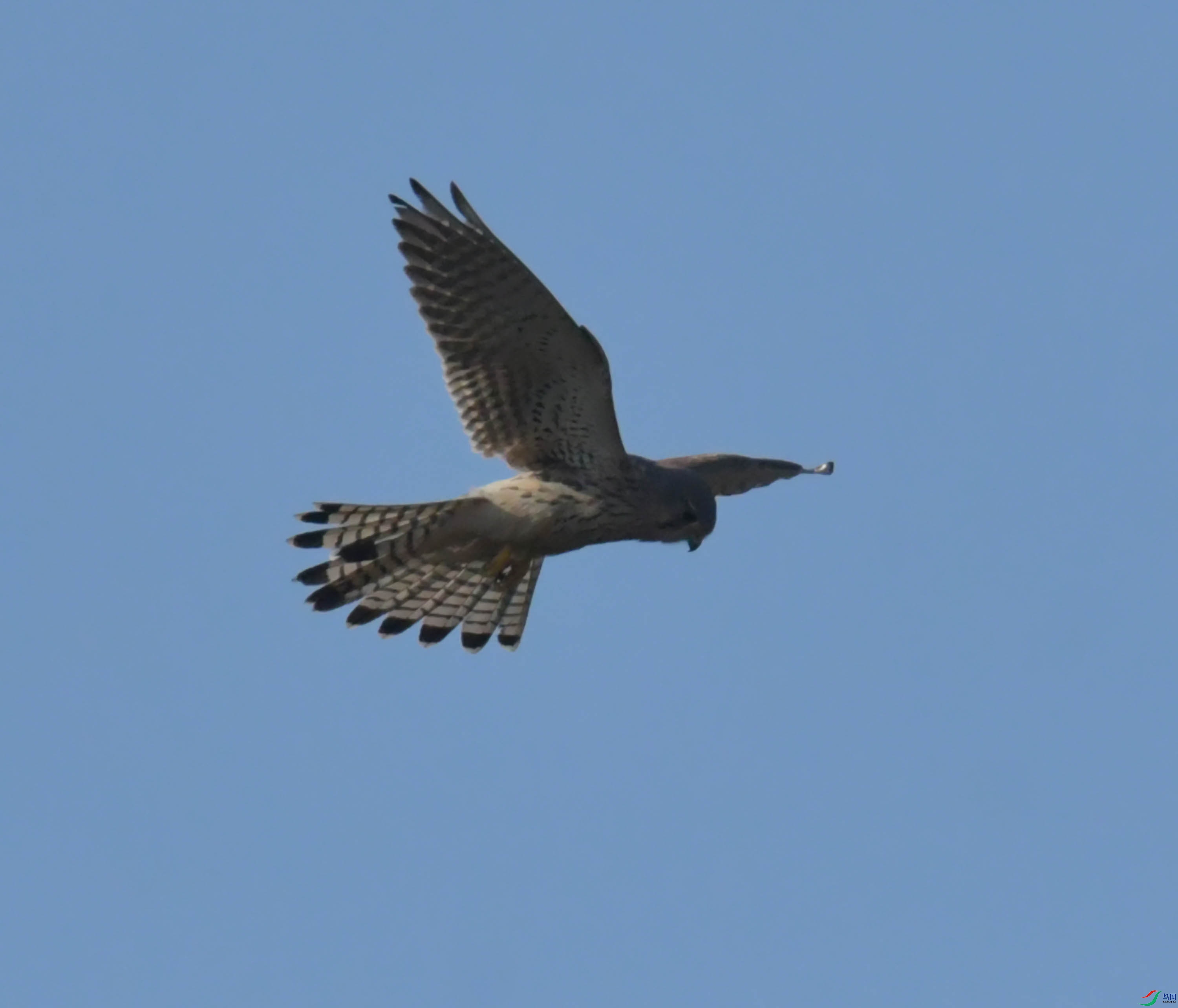 DSC_1215.JPG