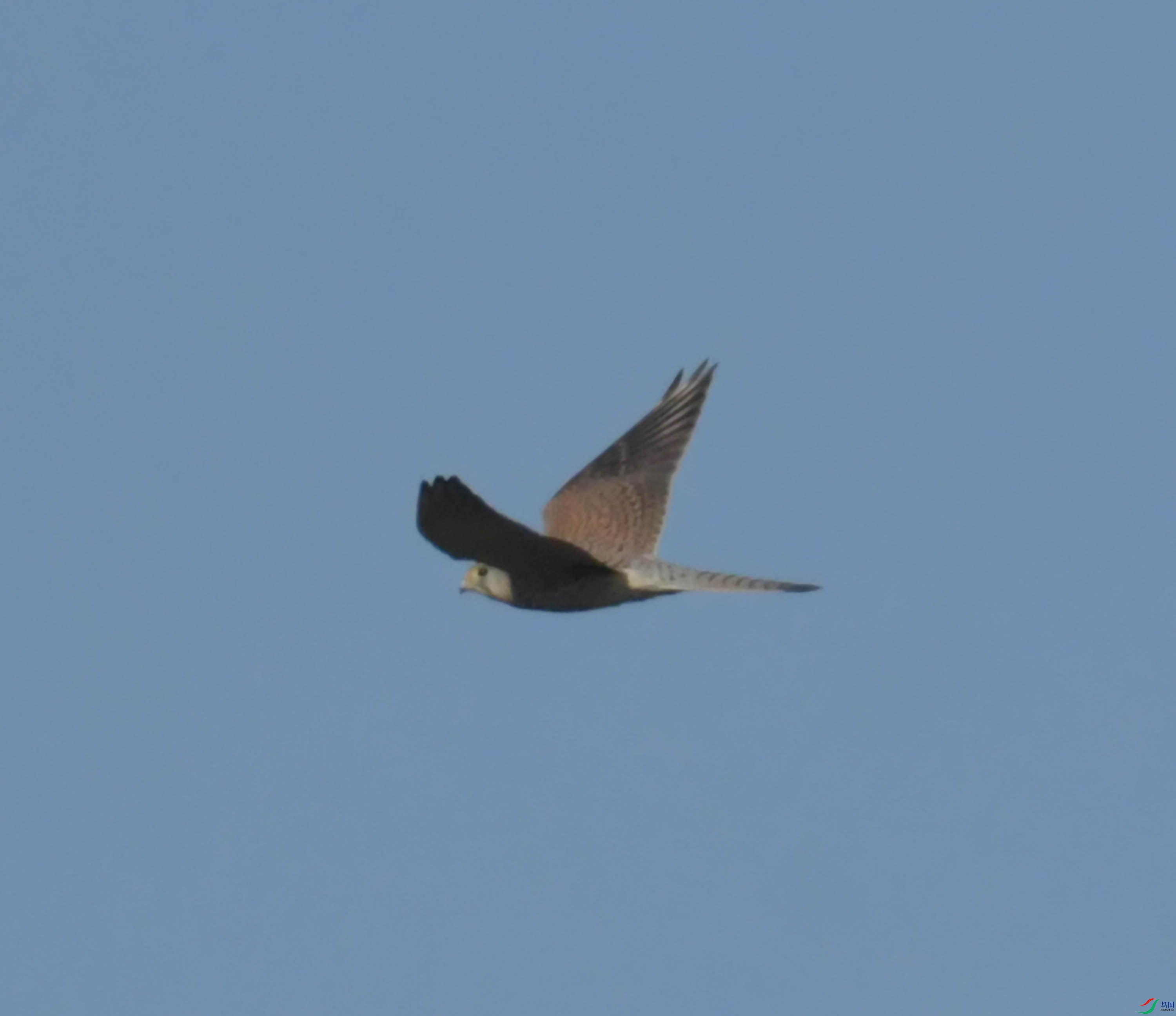 DSC_1227.JPG