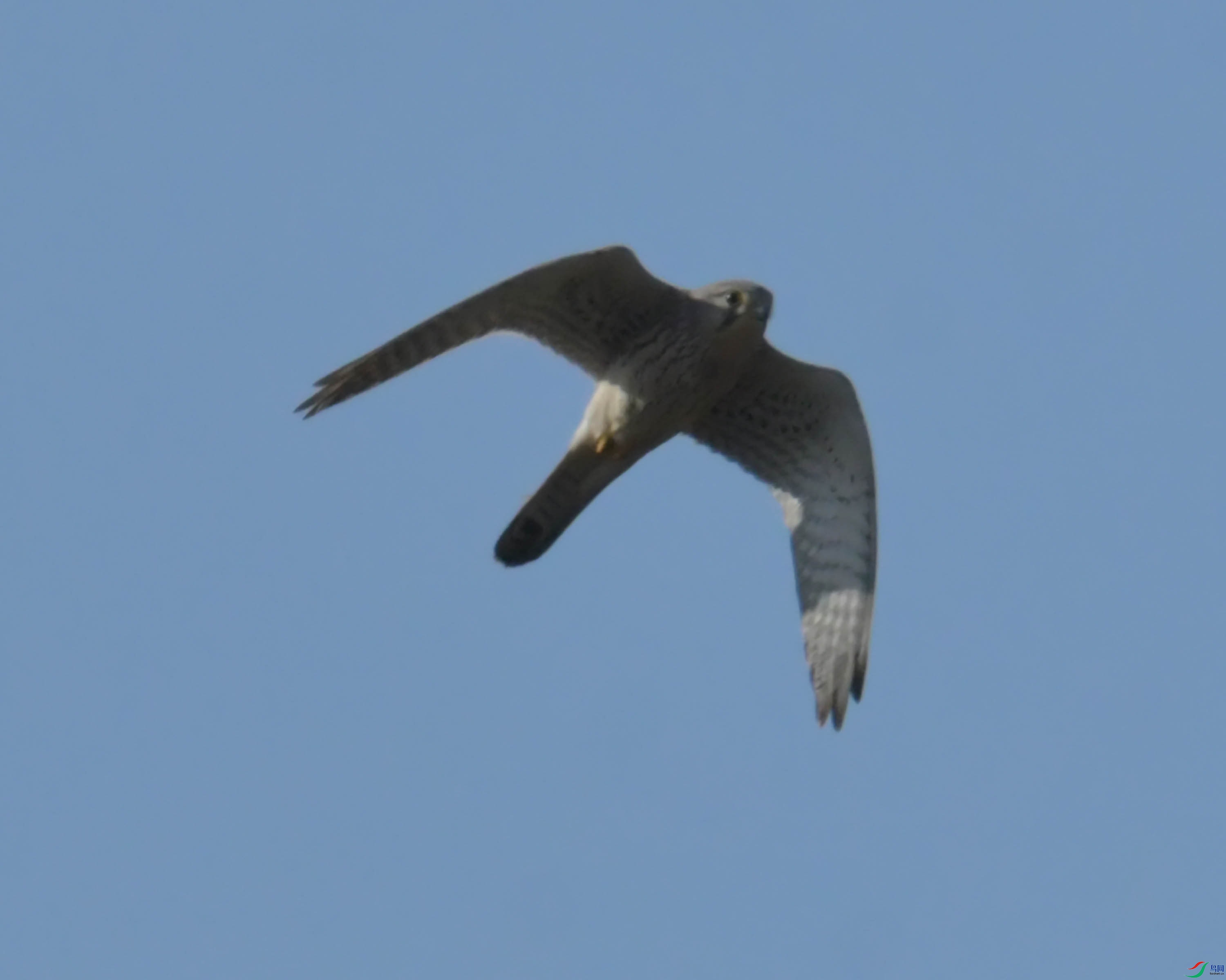 DSC_1293.JPG