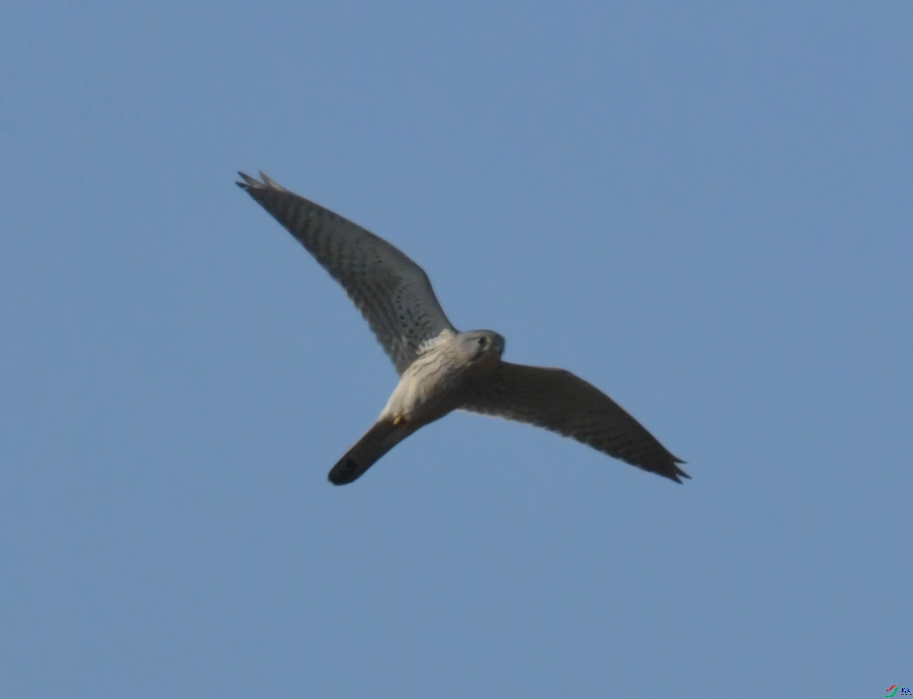 DSC_1294.JPG