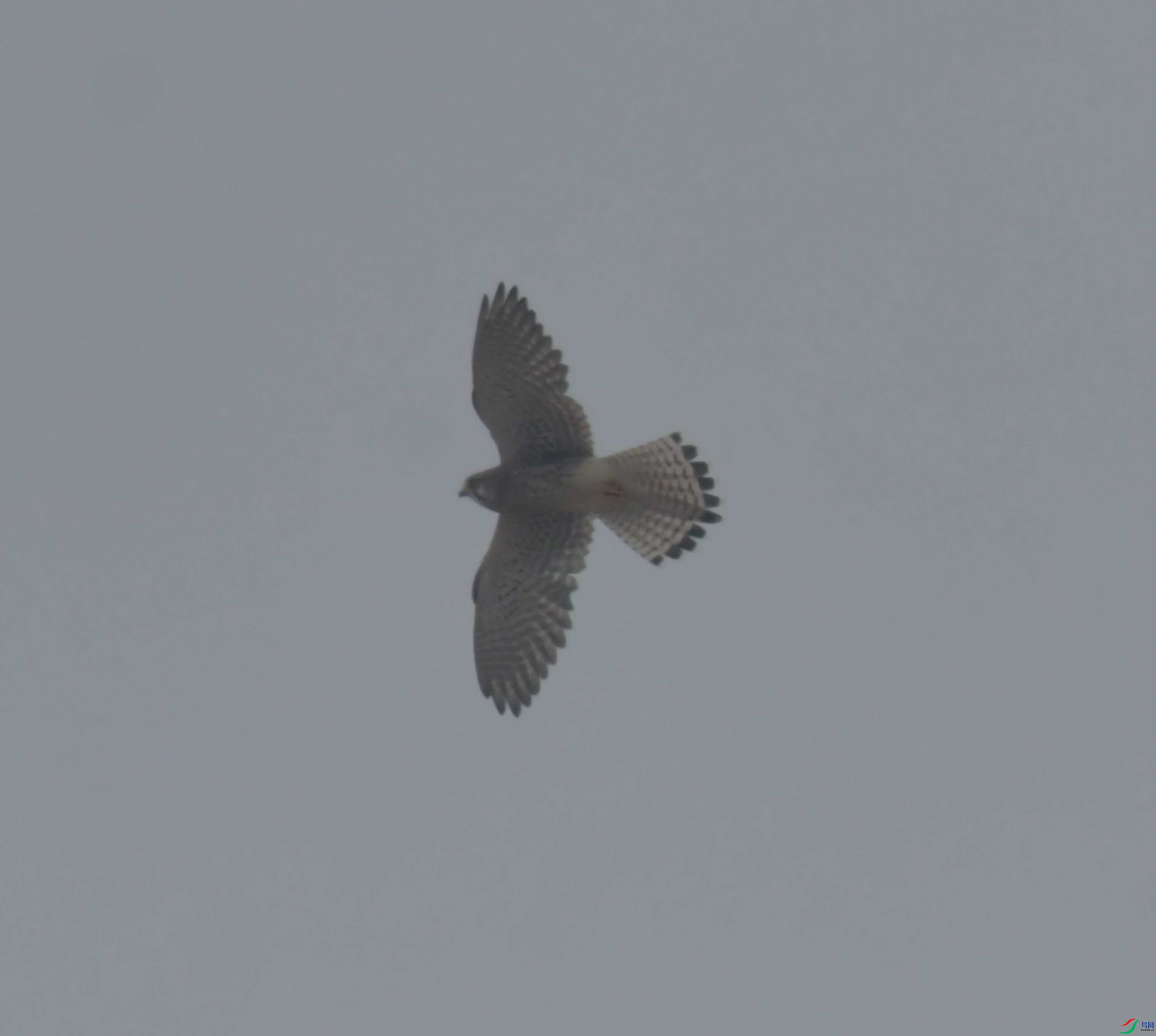 DSC_2204.JPG