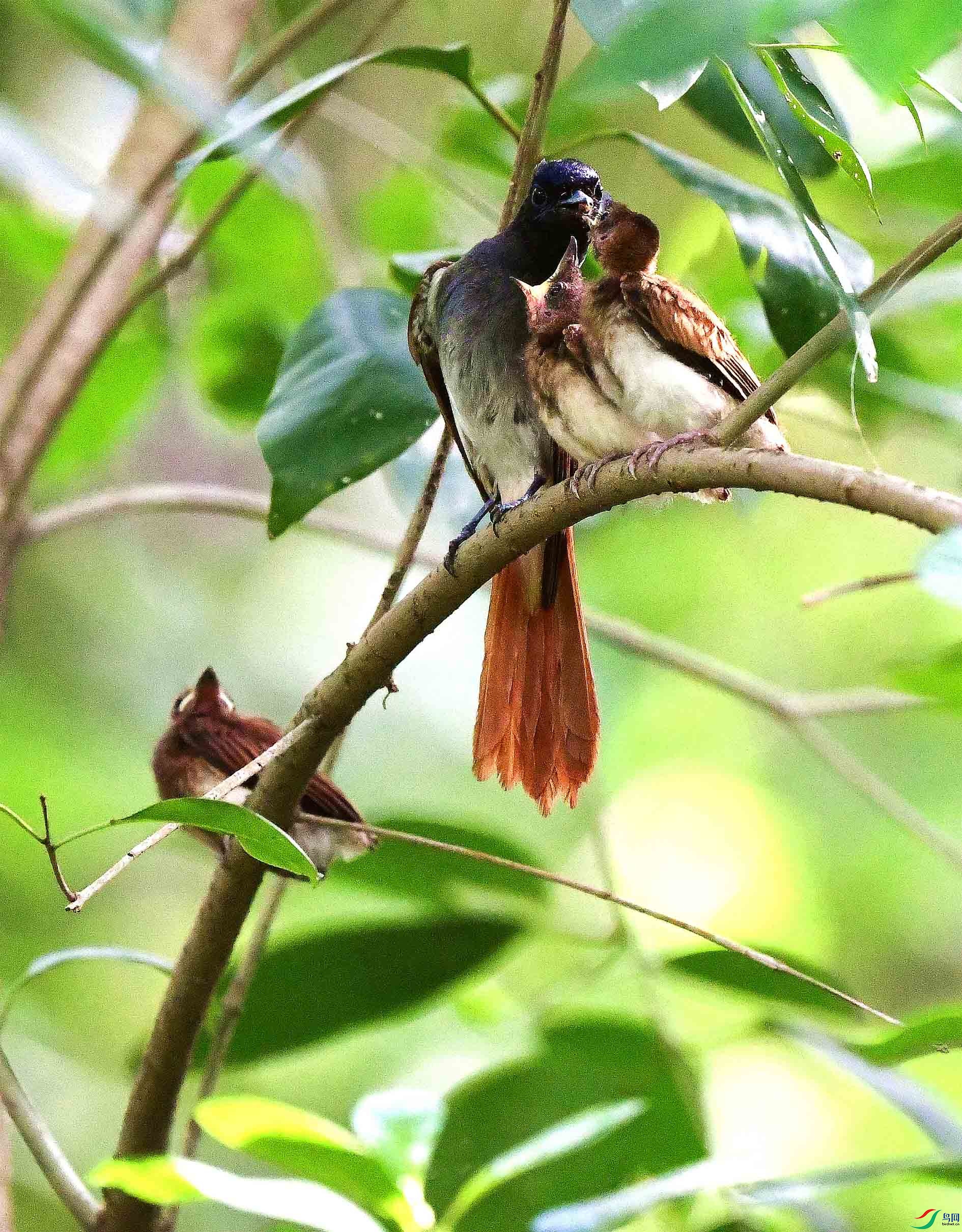 DSC_7505_����.jpg