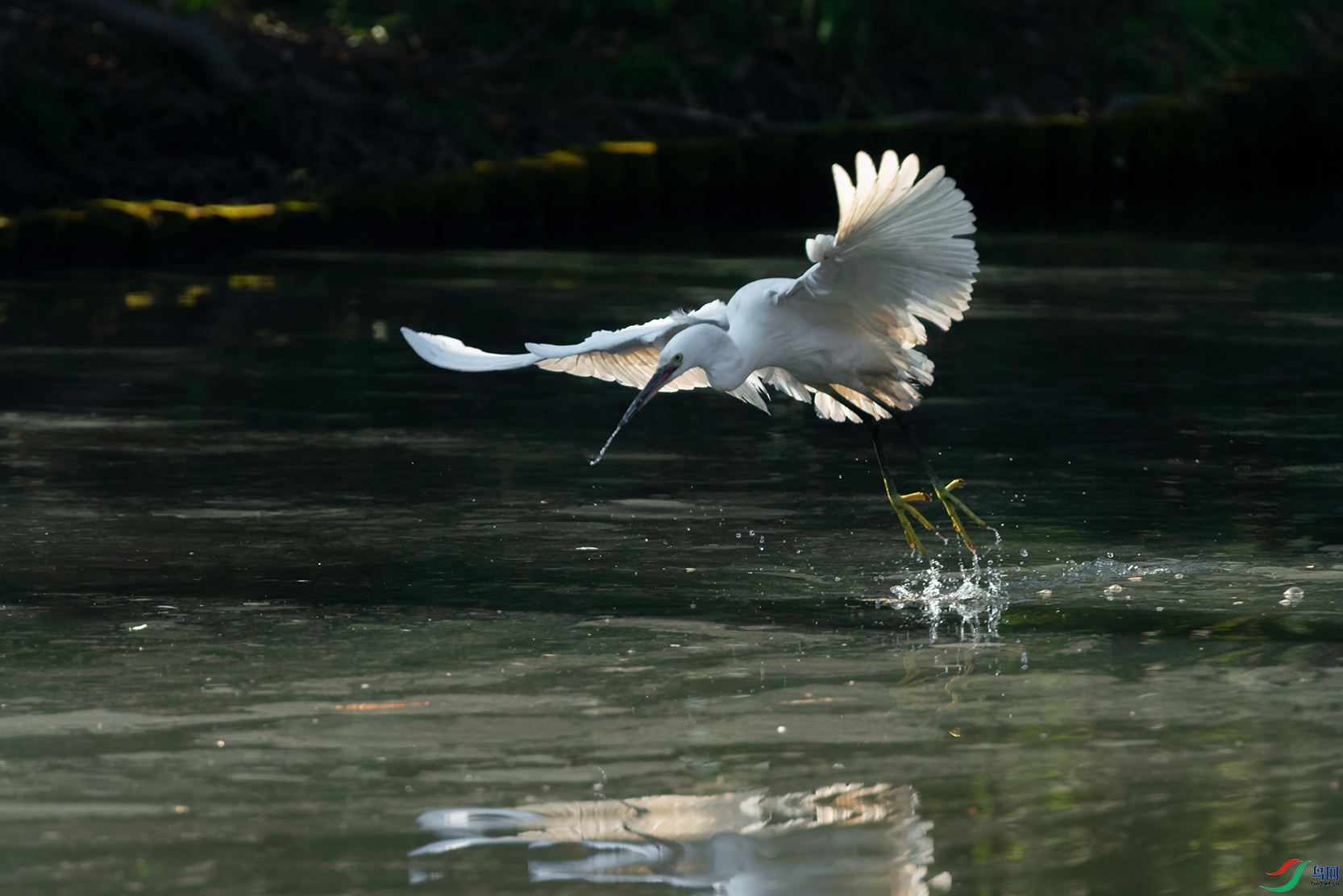 DSC_0002_DxOa.jpg