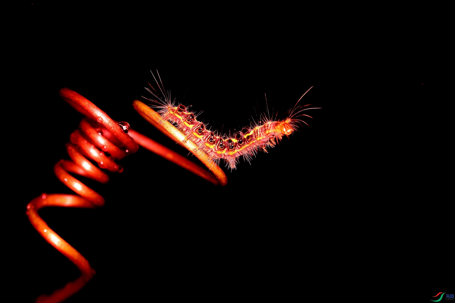 3C2A8989.jpg