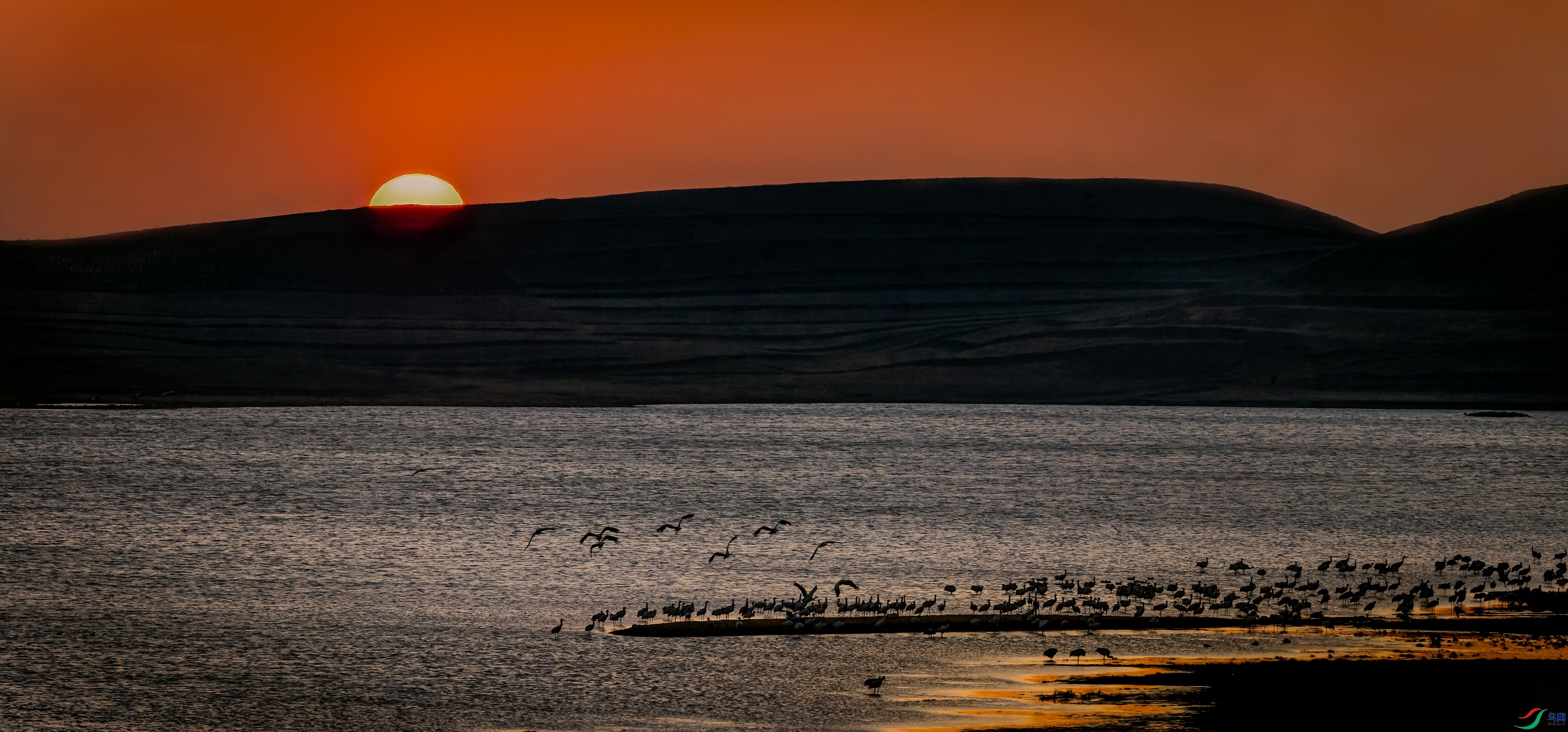_21A8924-1-2.jpg