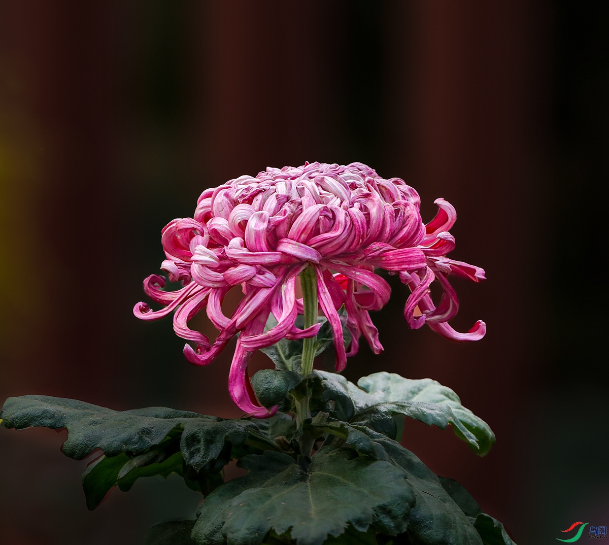 00000583A0223 ����1000k.jpg