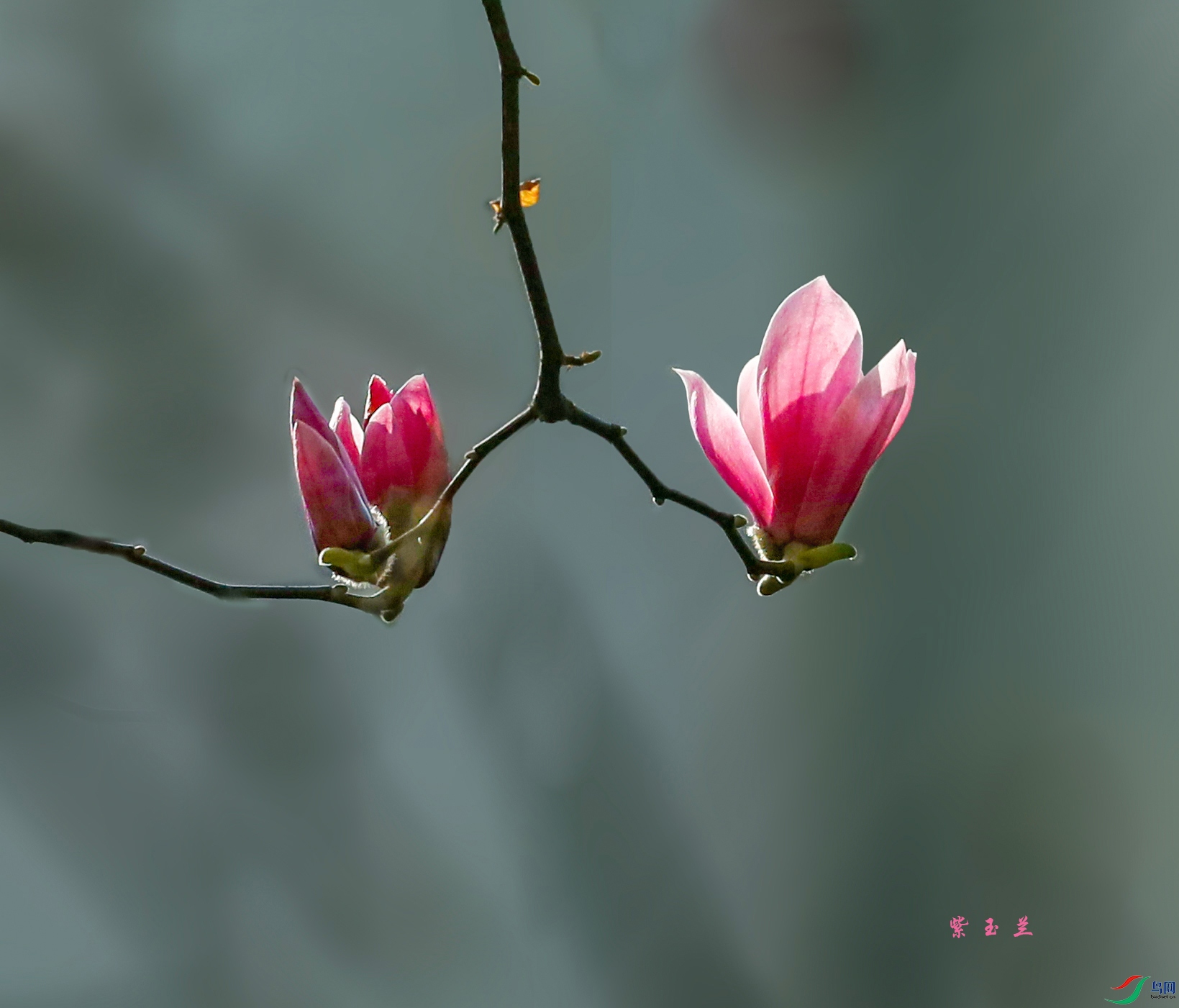 0000IMG_0929 1000k.jpg