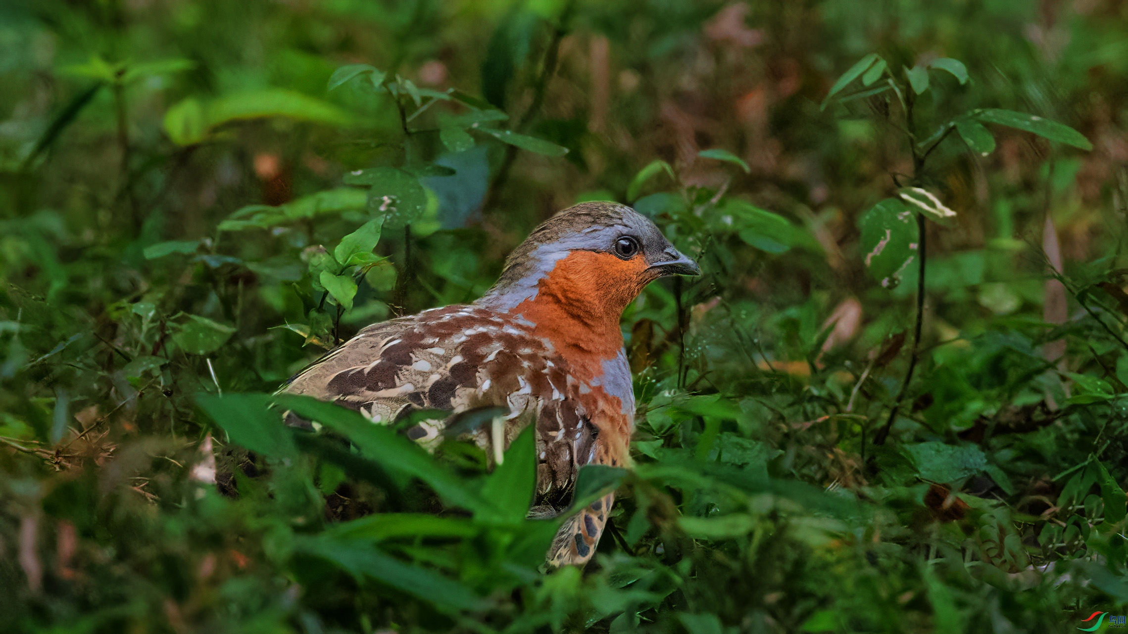 PH6D1A4741_12-0.jpg