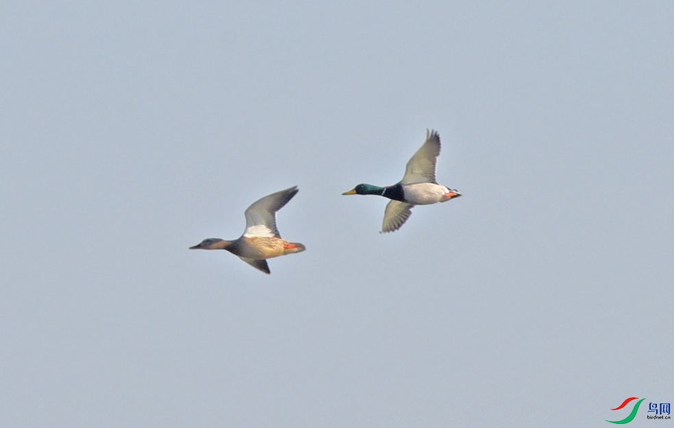 DSC_5040.jpg