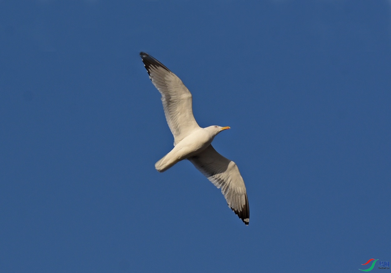 DSC_6189ff_��ͼ��.jpg