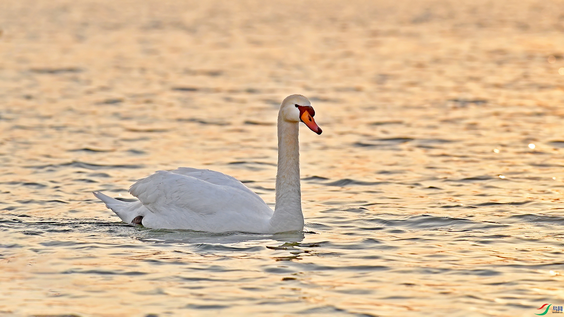 DSC_1z724.jpg