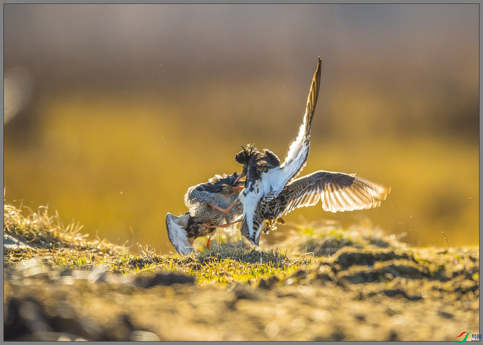 ��DSC_1277.jpg