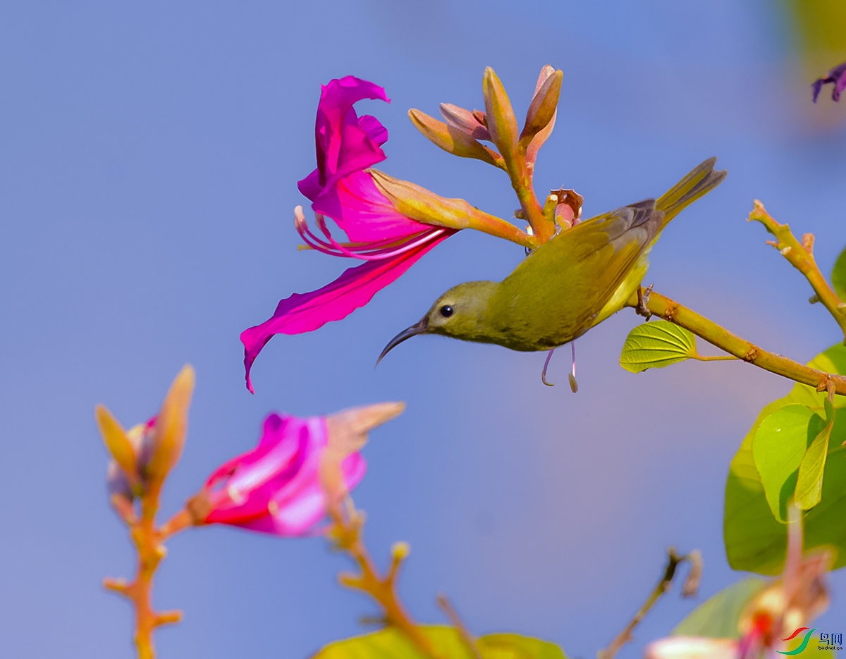 DSC_5700.JPG
