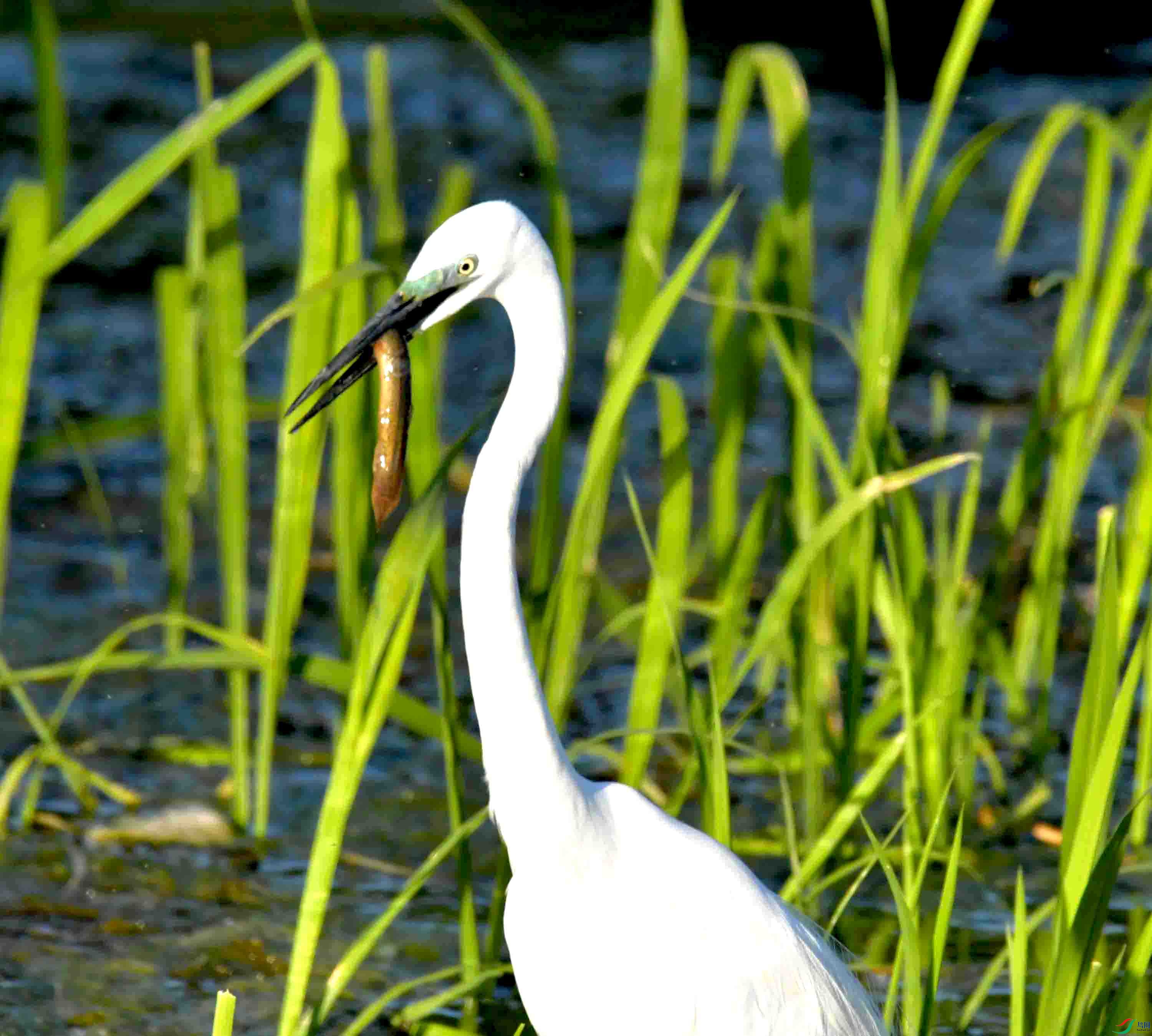 DSC_0880.JPG