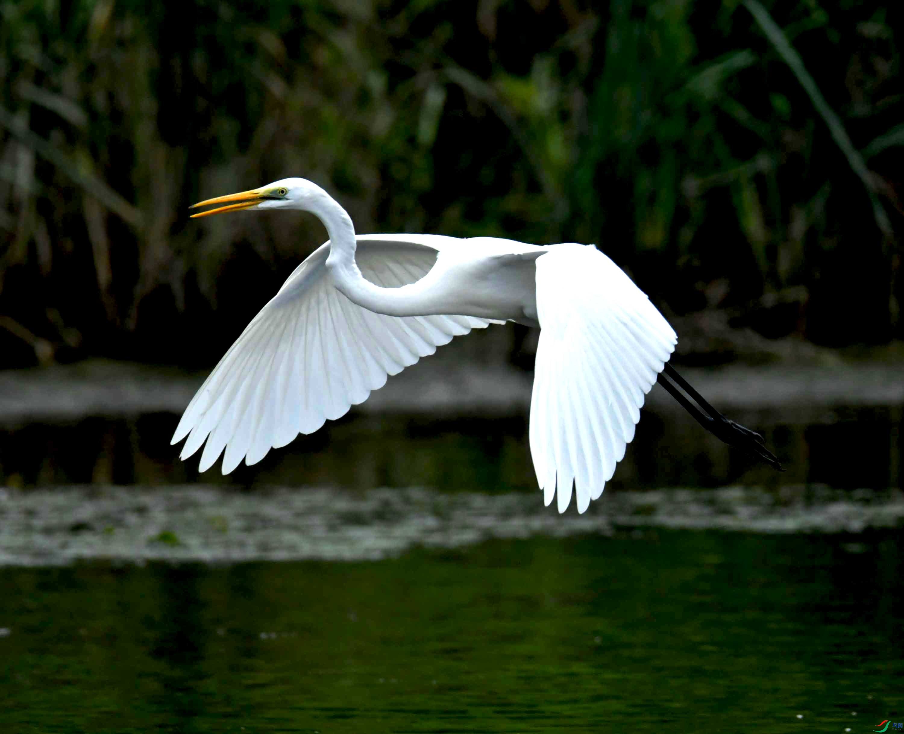 DSC_0886.JPG