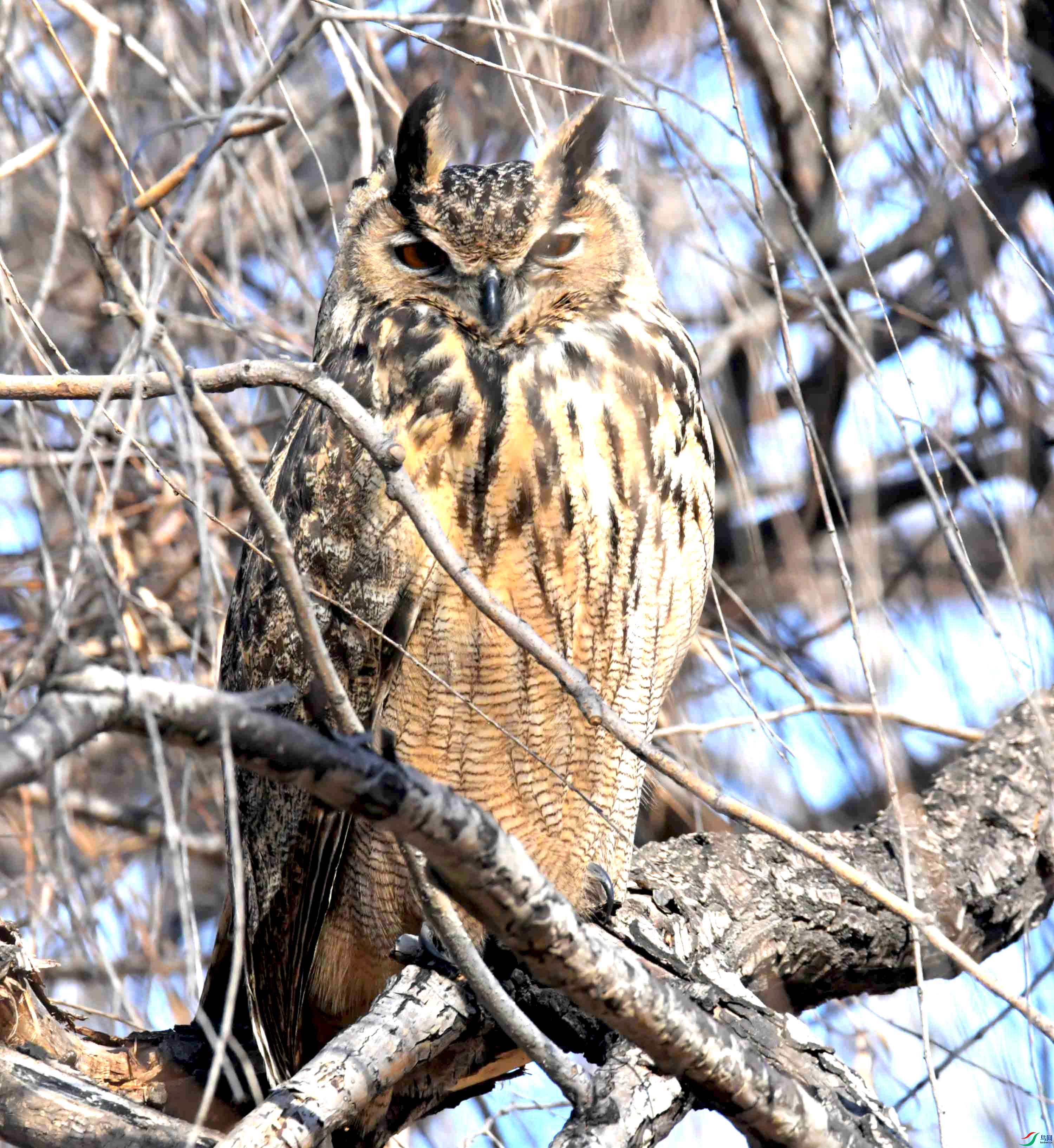 DSC_5942.JPG