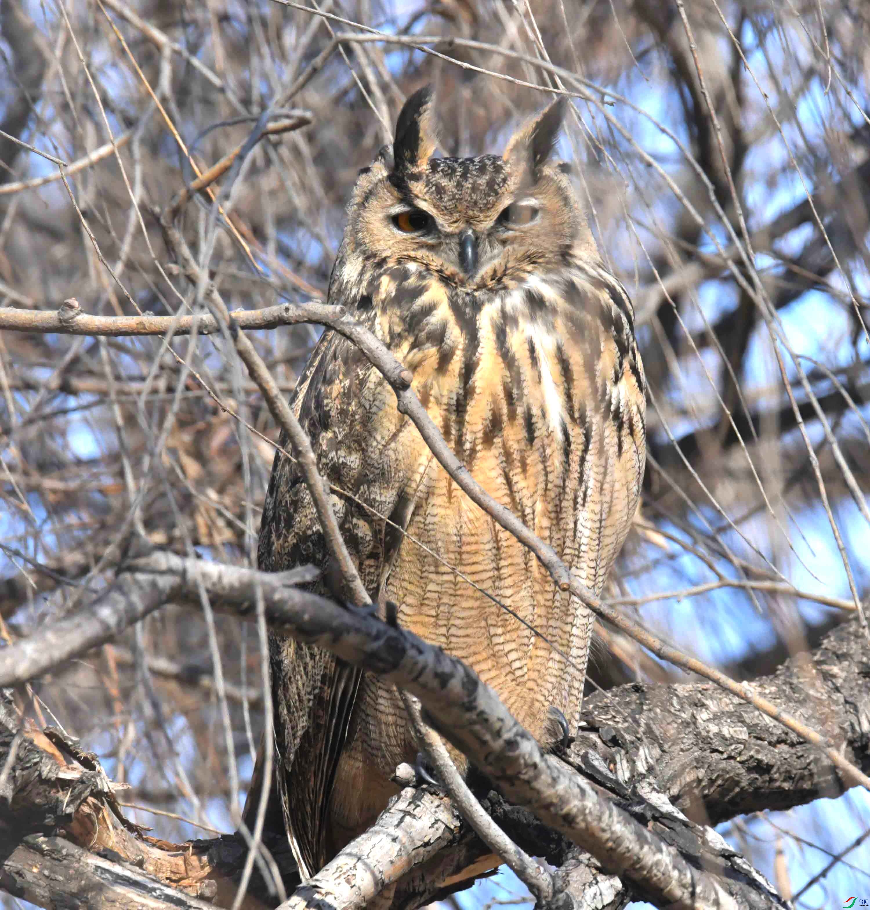 DSC_5941.JPG