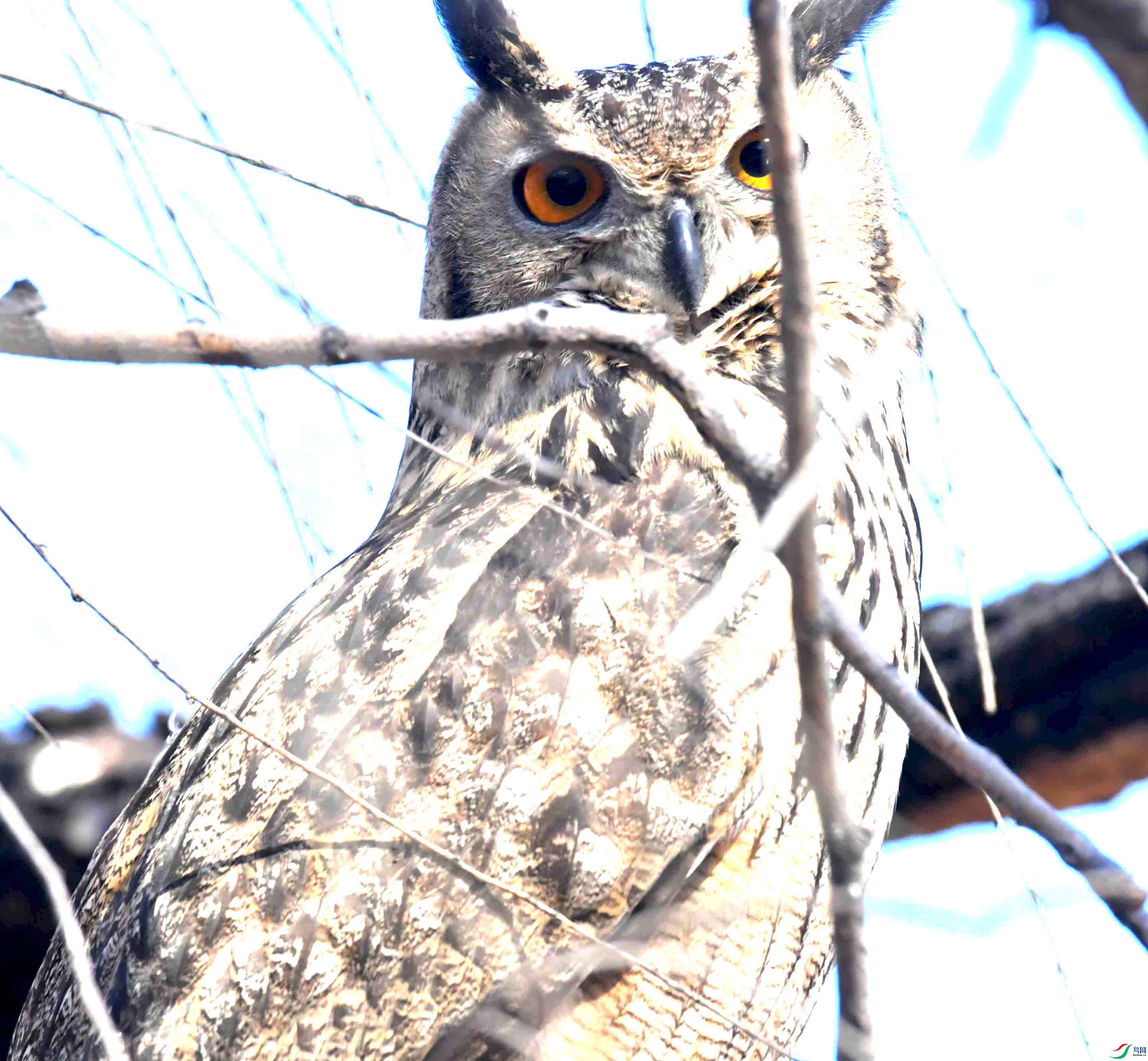 DSC_5992.JPG