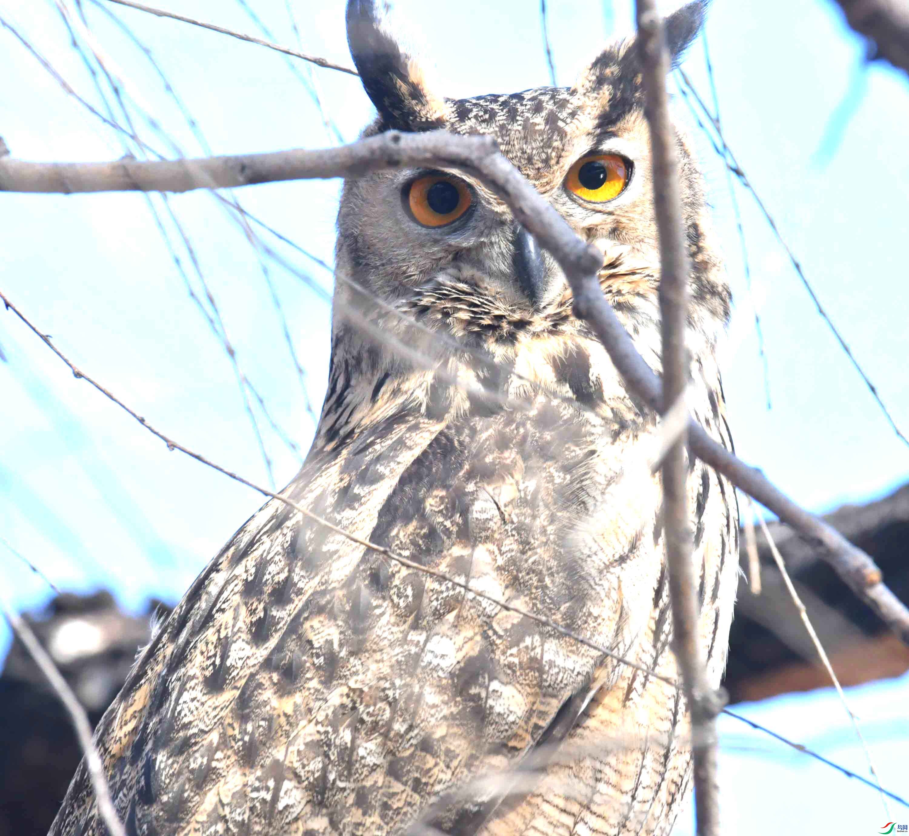 DSC_6001.JPG