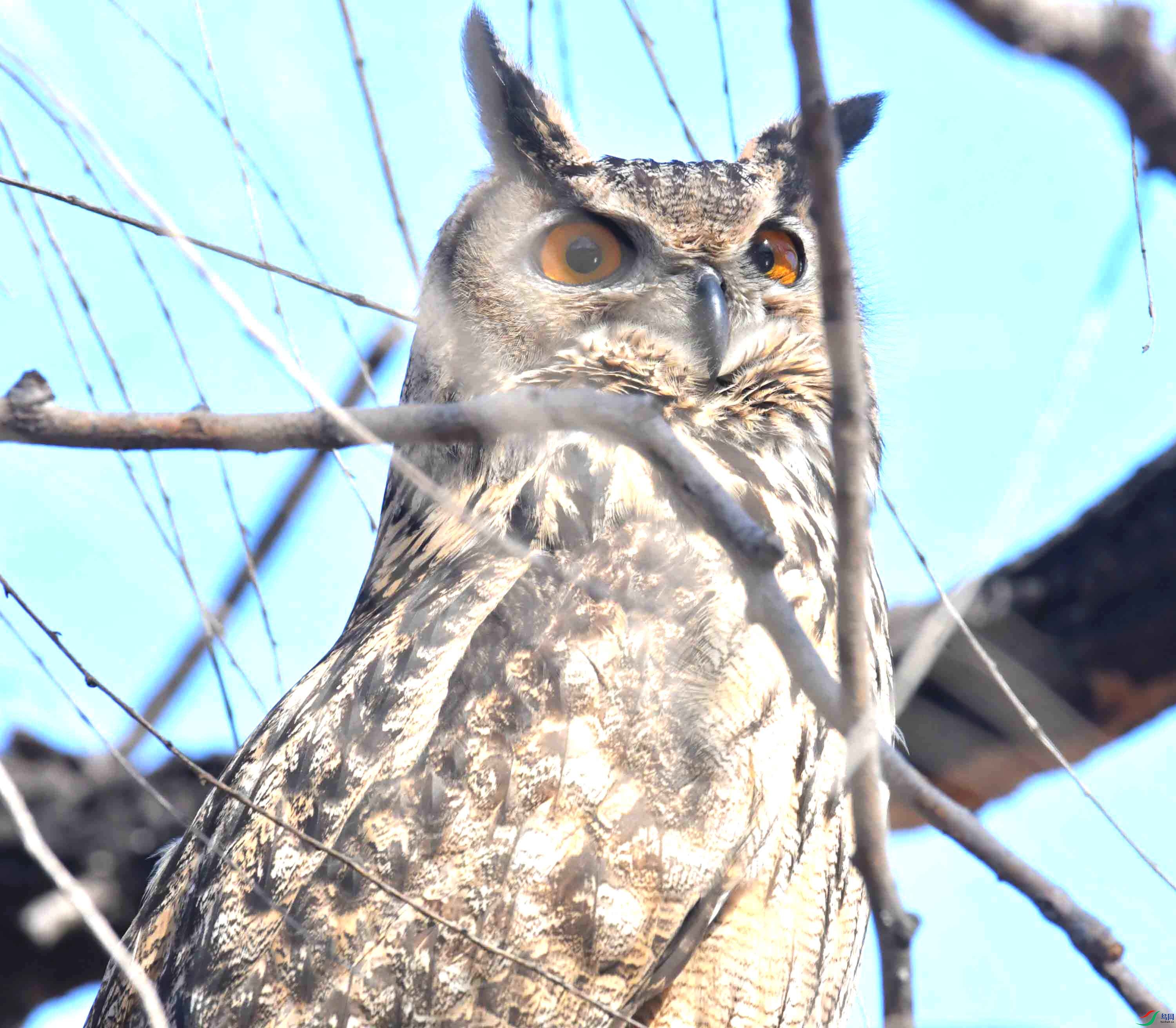 DSC_6007.JPG