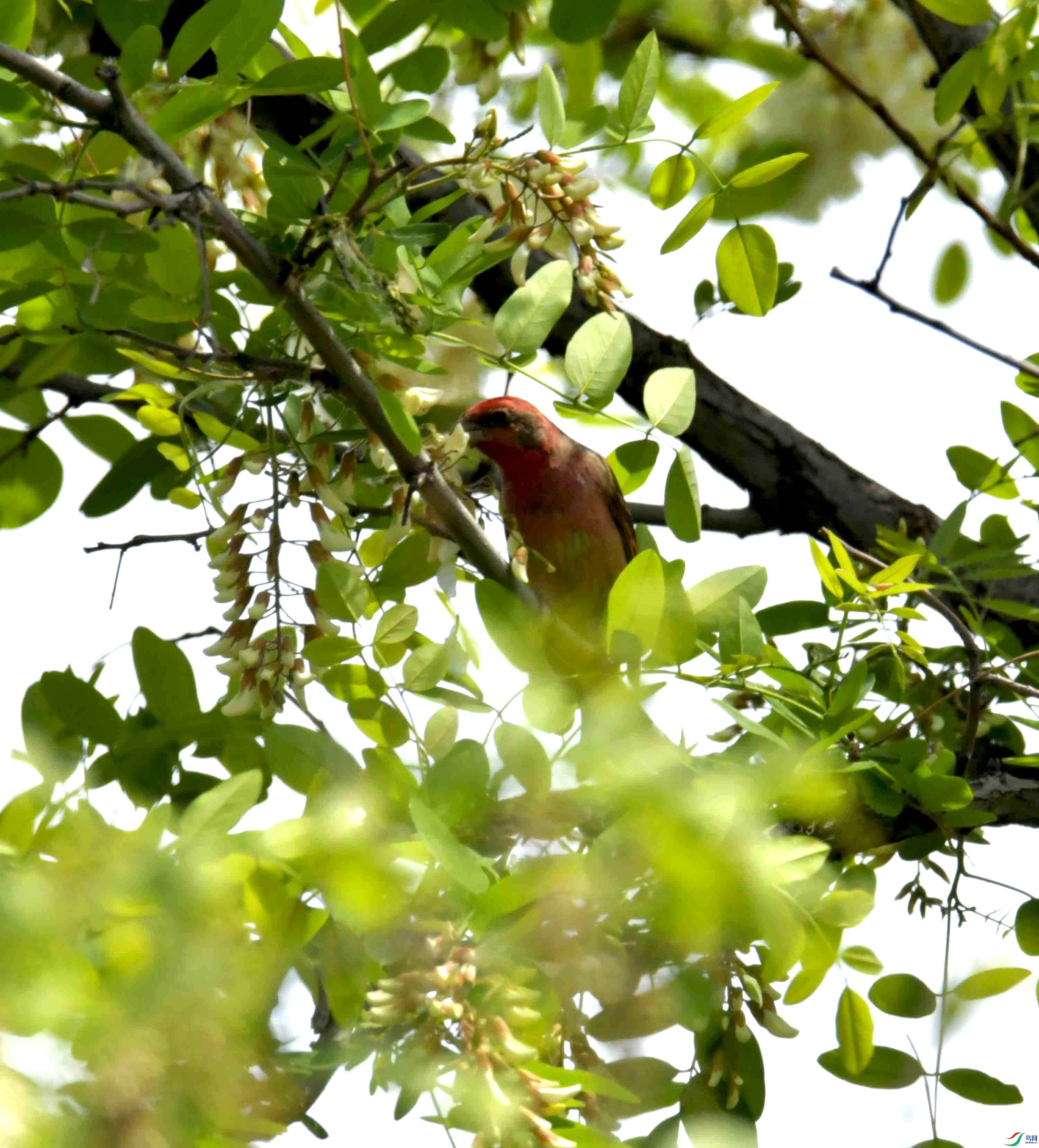 DSC_8283.JPG