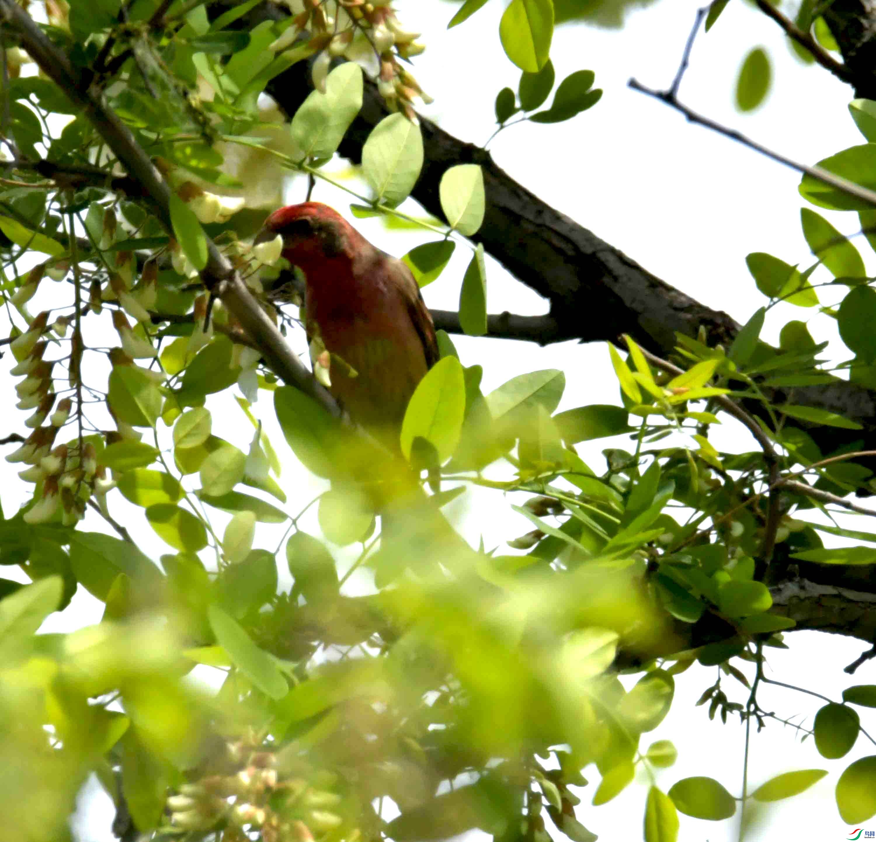DSC_8282.JPG