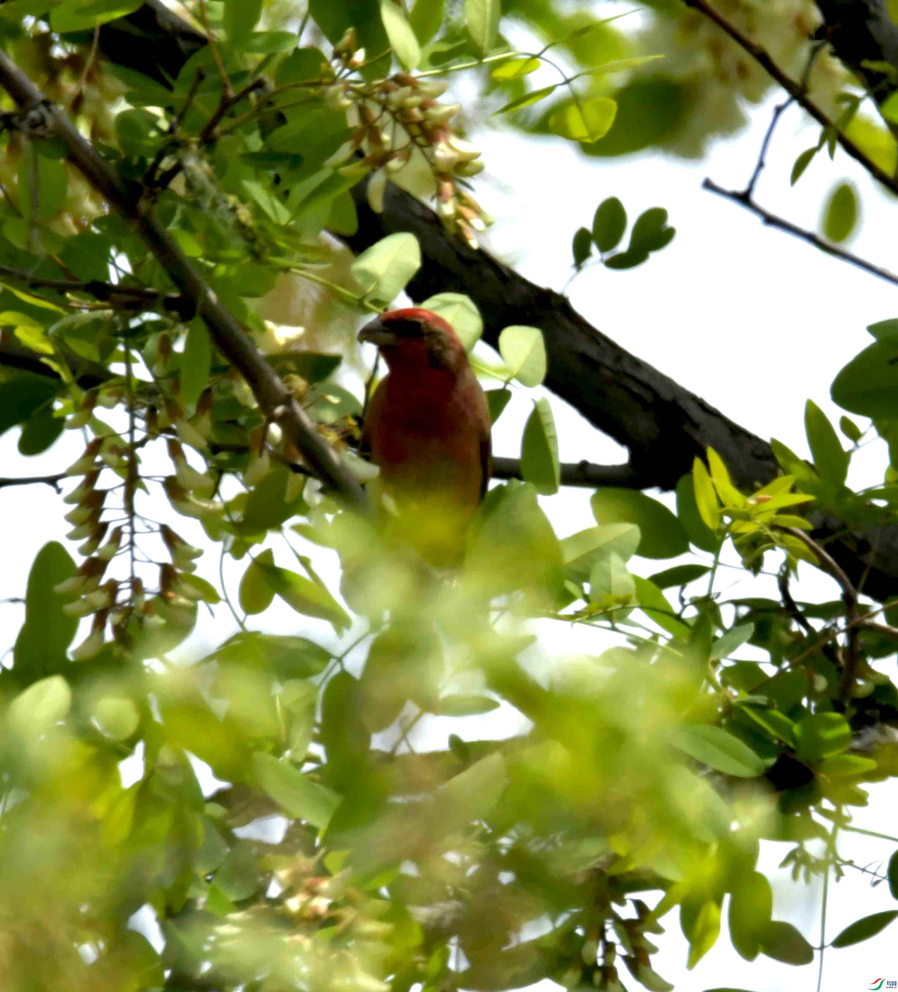 DSC_8299.JPG