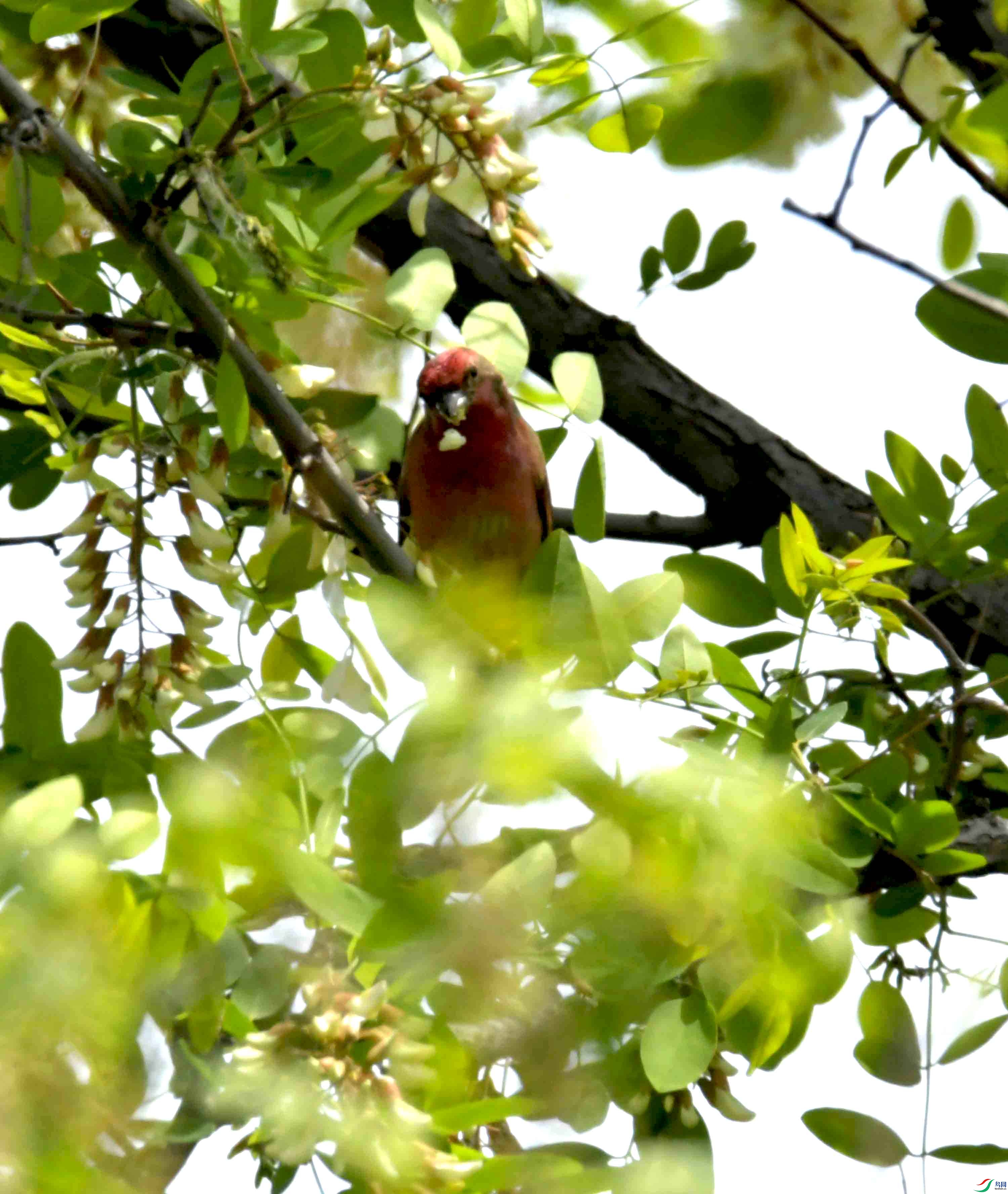 DSC_8297.JPG