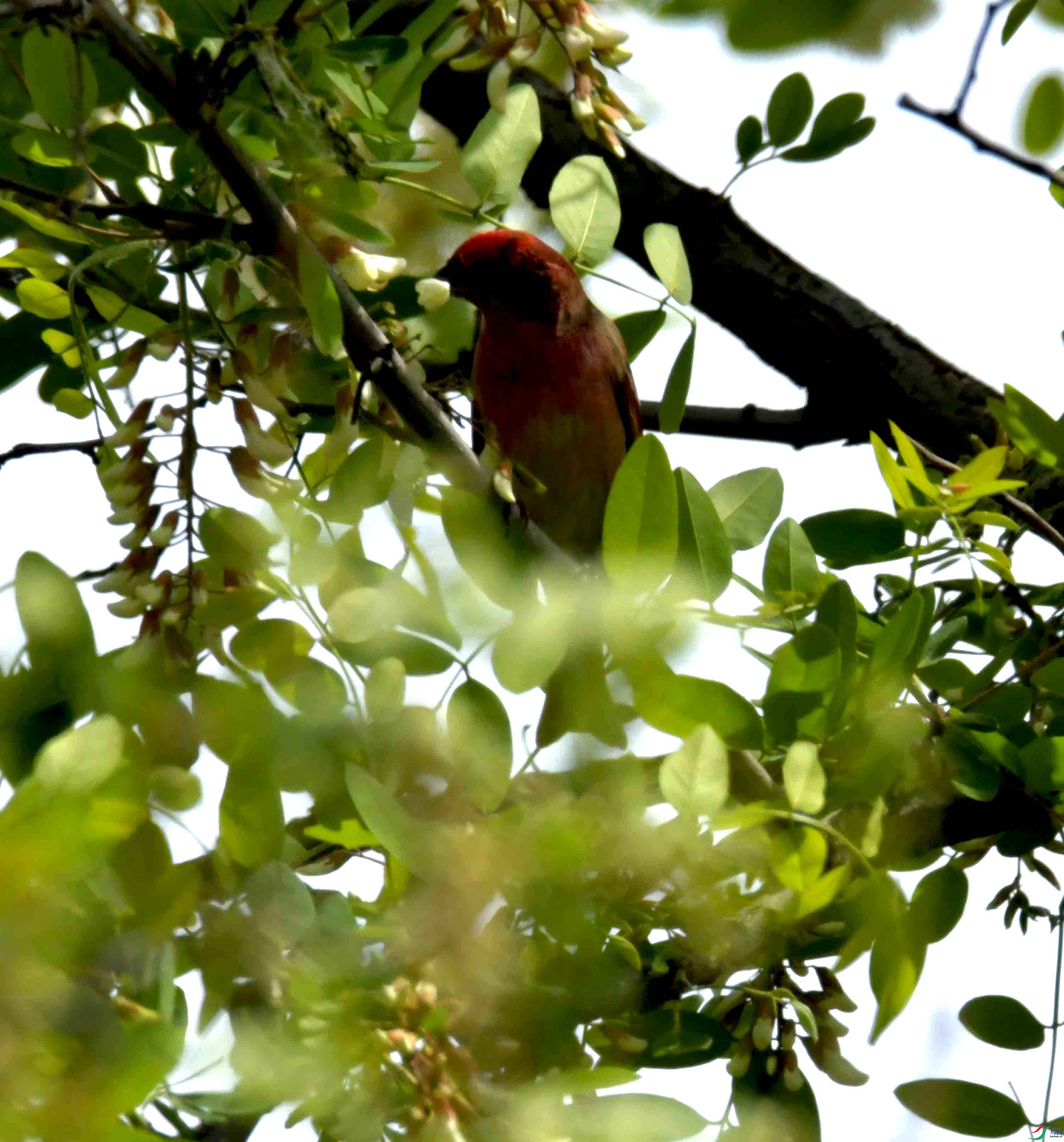 DSC_8303.JPG