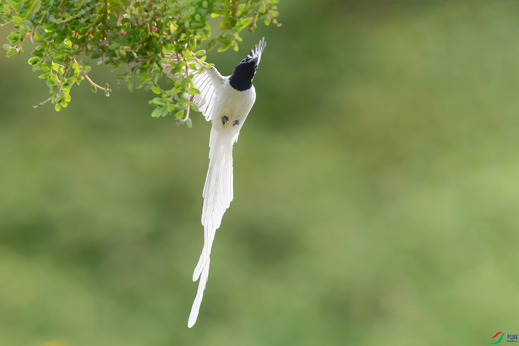 DSC_6142_DxOa.jpg