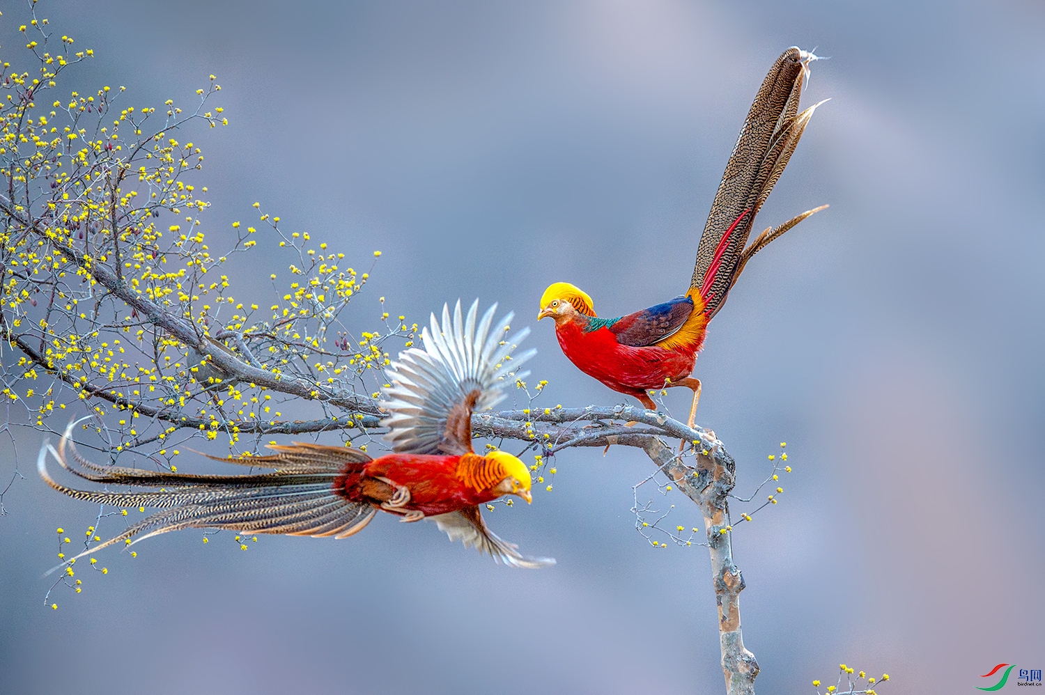_DSC7852.jpg