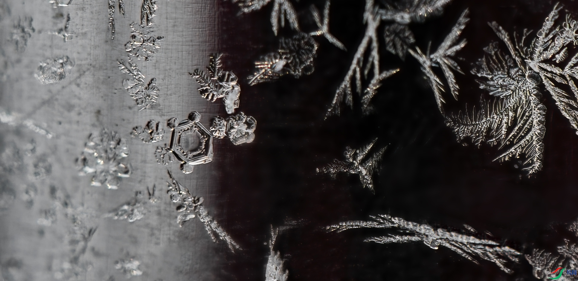 DSC_7620 ����.jpg