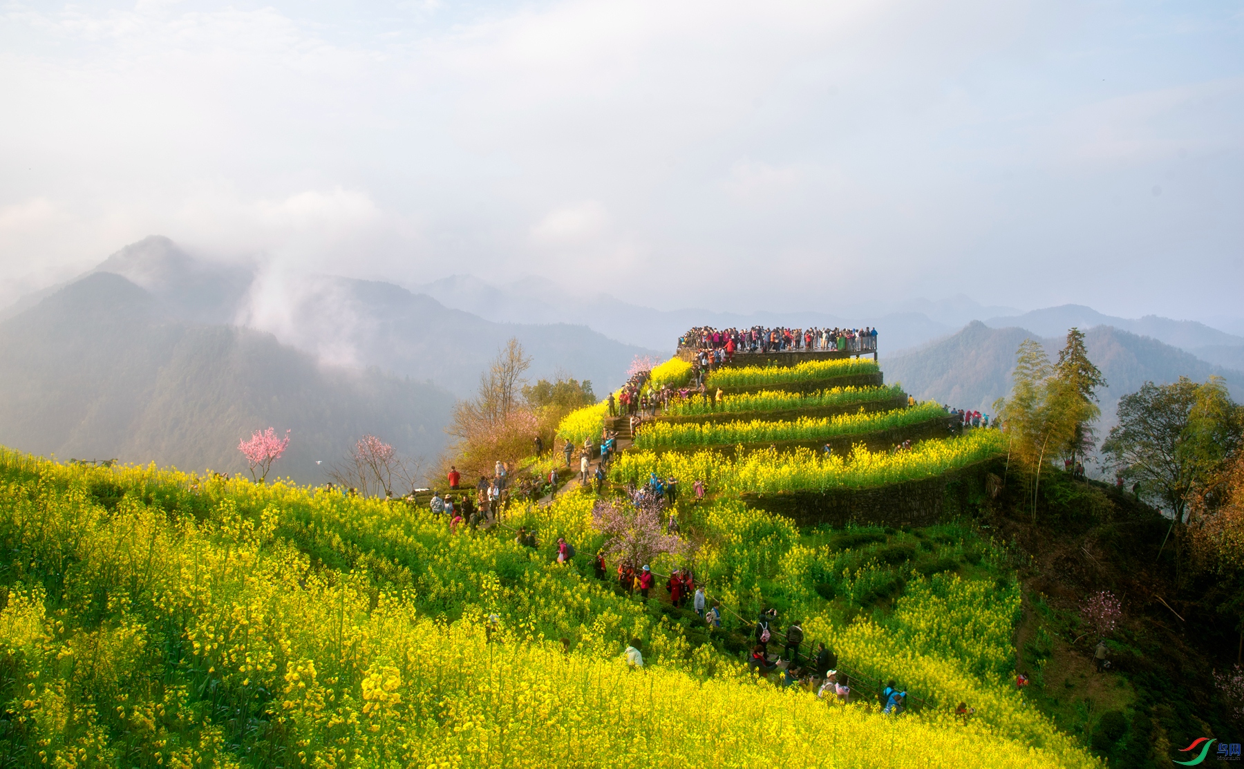 DSC_5057 ����_����.jpg