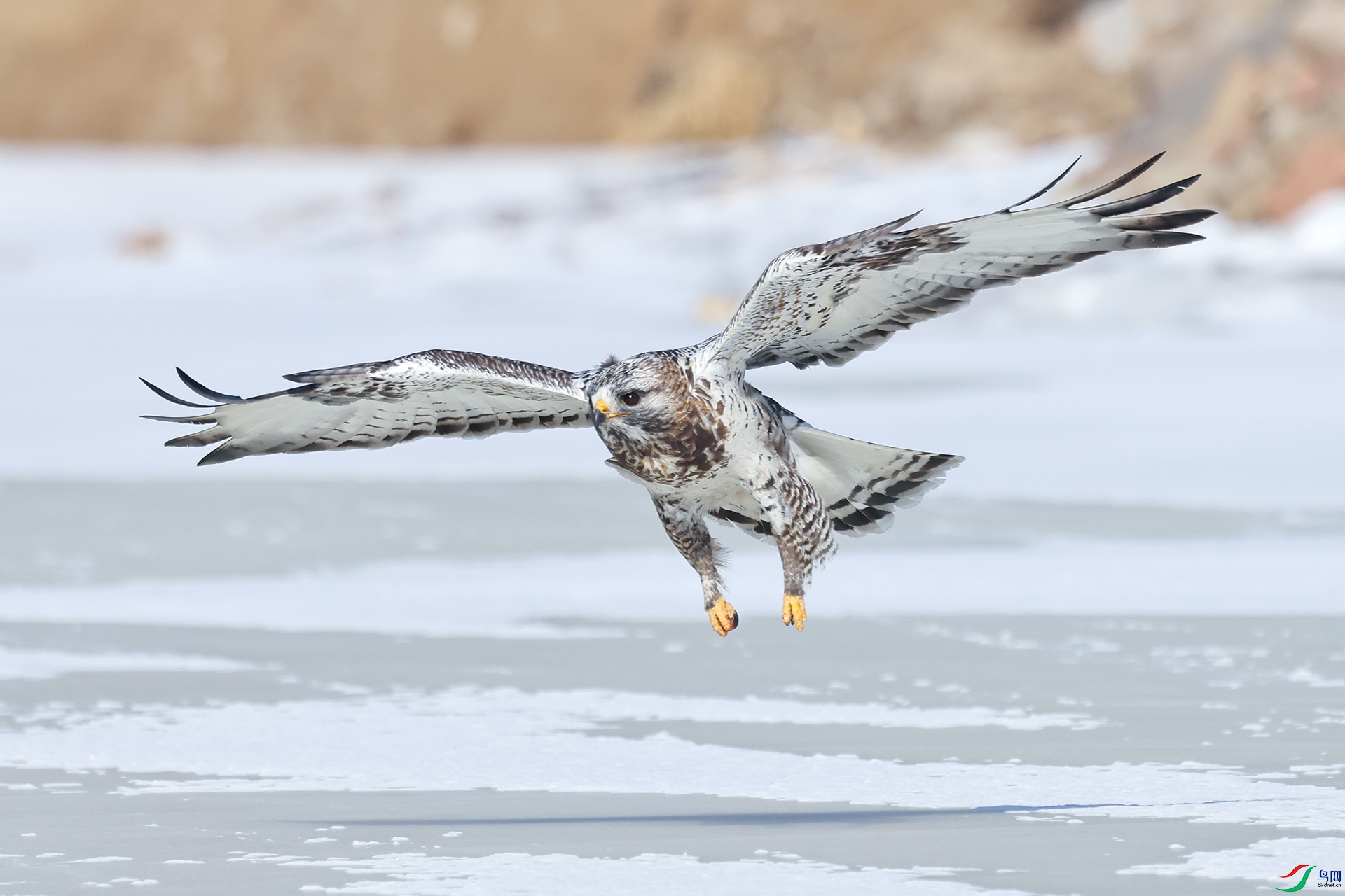 IMG_6745-2-1.jpg