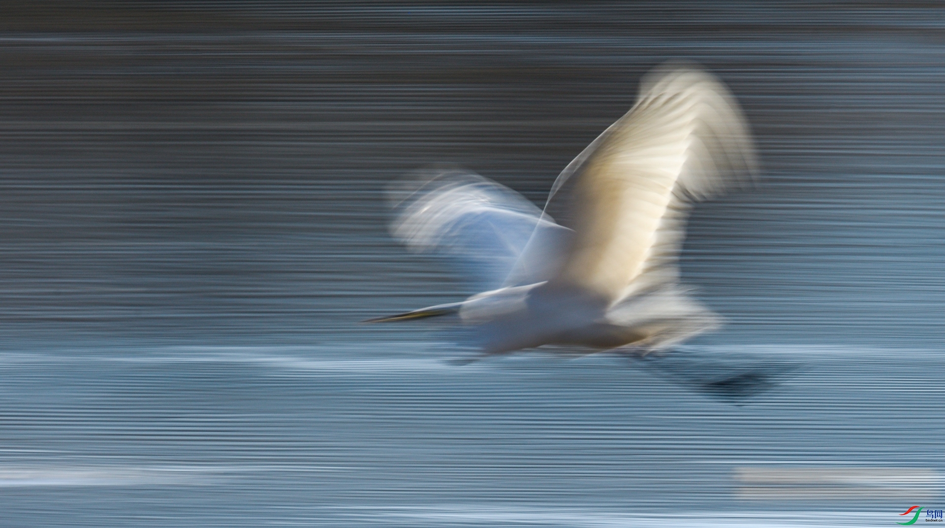 _DSC0686_����.jpg