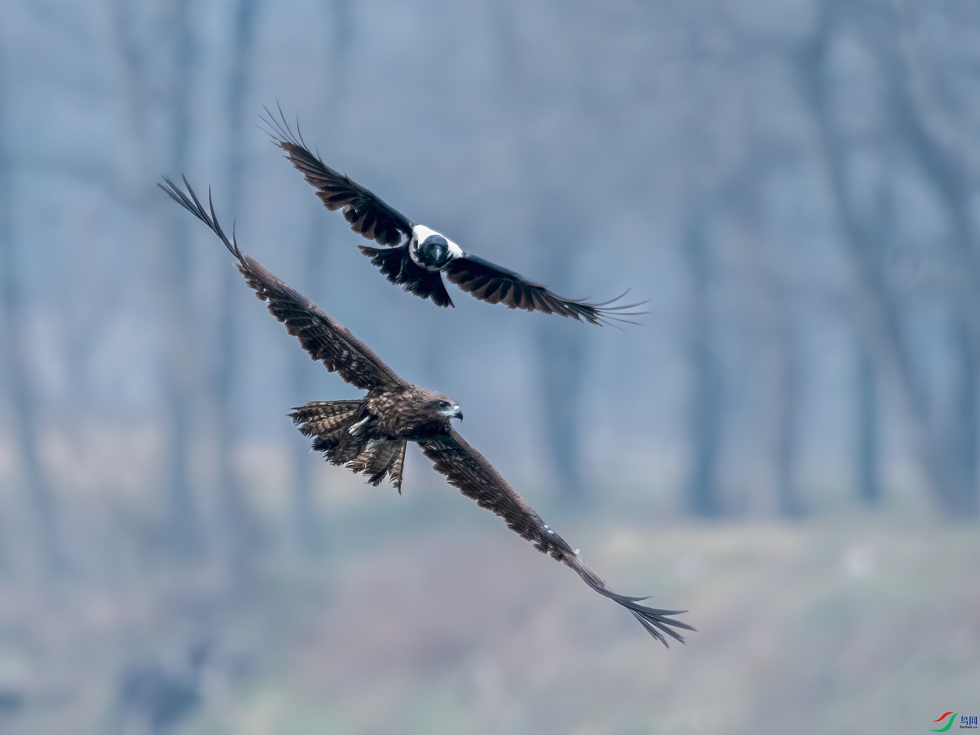 _DSC9965С.jpg
