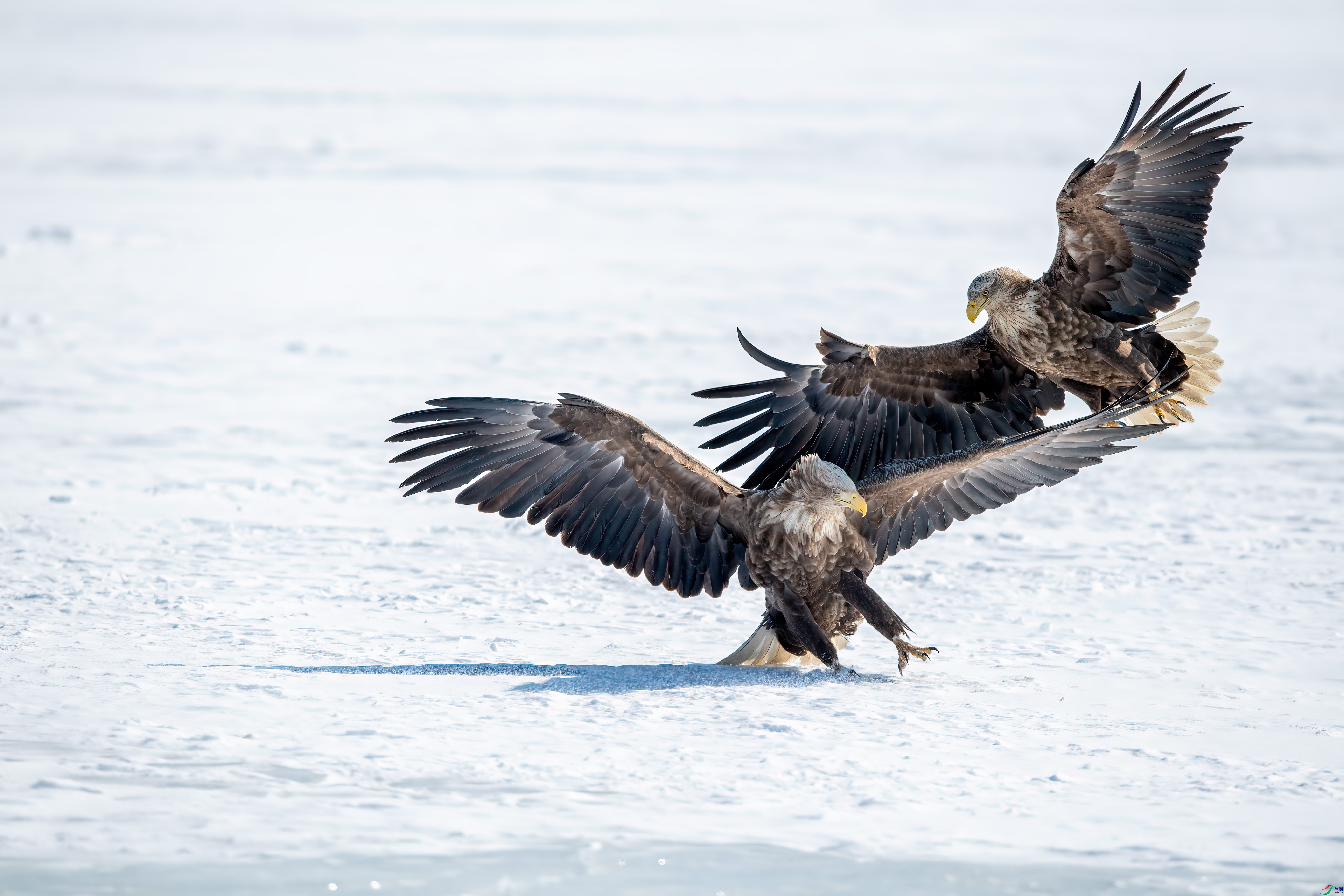 DSC_6154.jpg