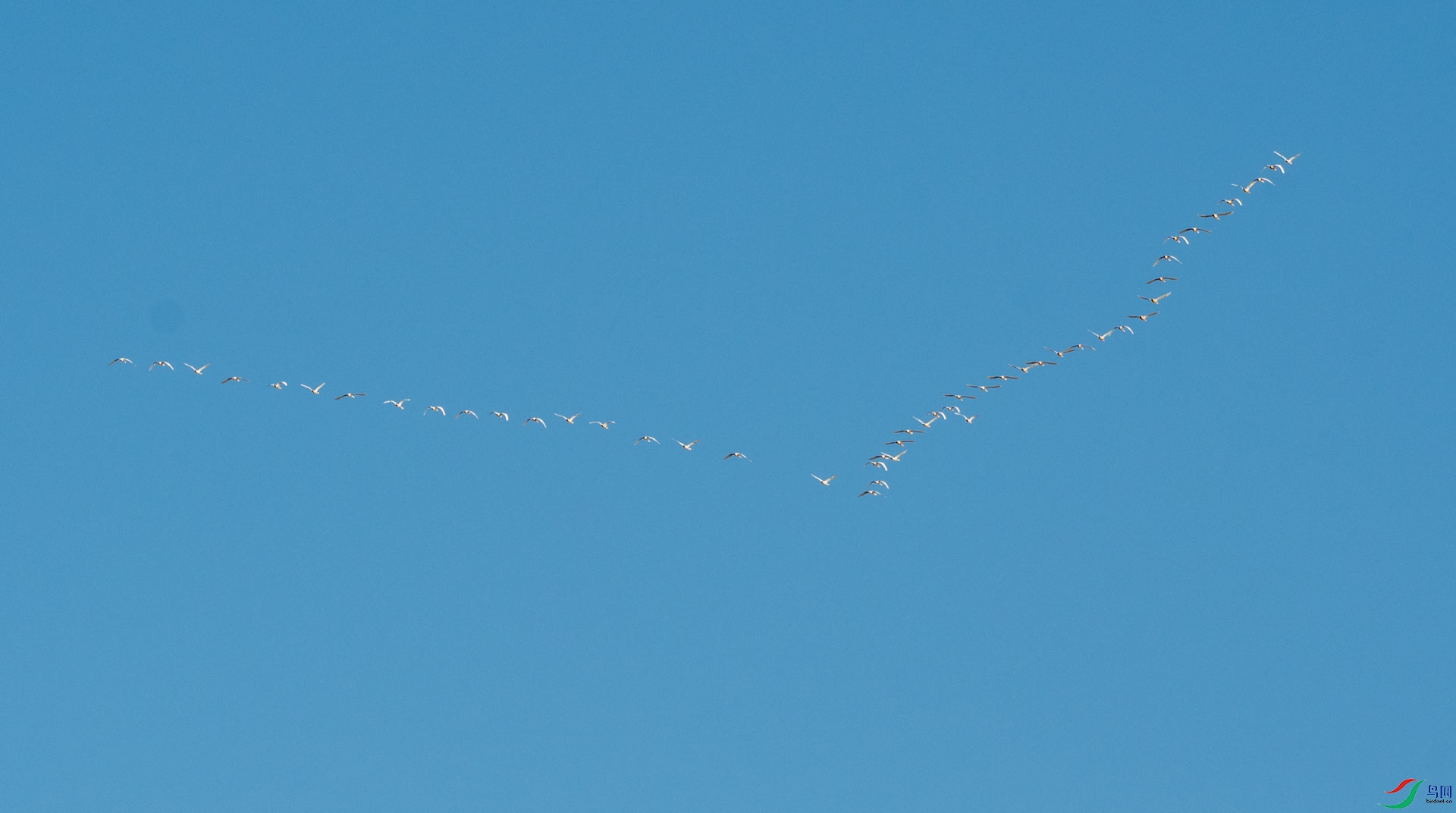 DSC_7487.jpg