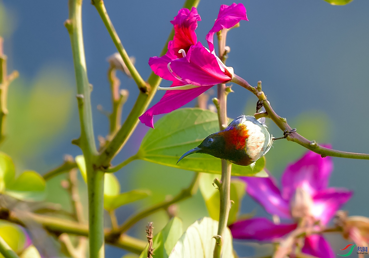 DSC_5536.JPG