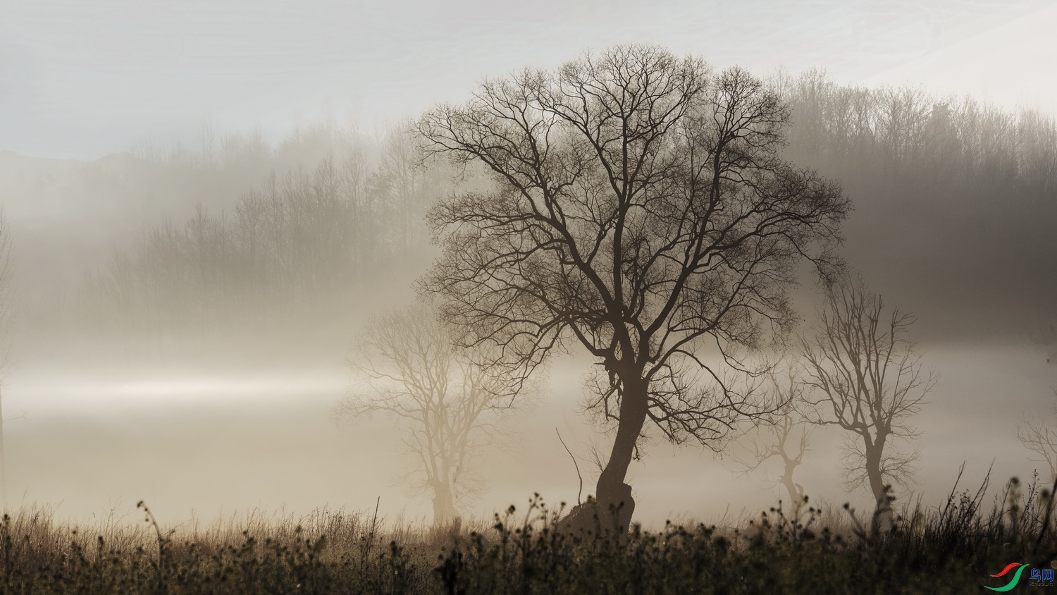 DSCF6571 ����.jpg