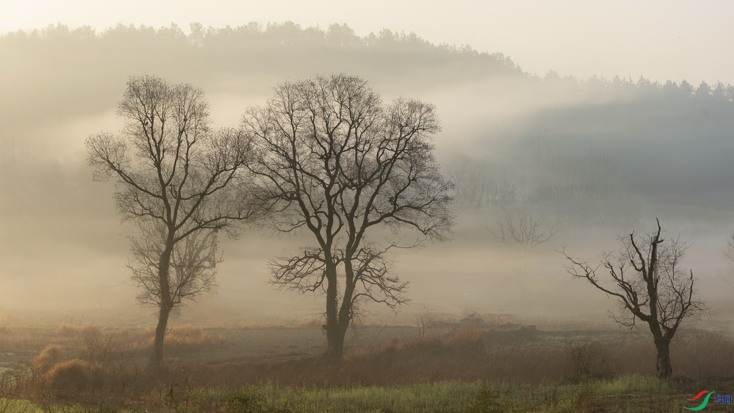 DSCF6558 ����.jpg