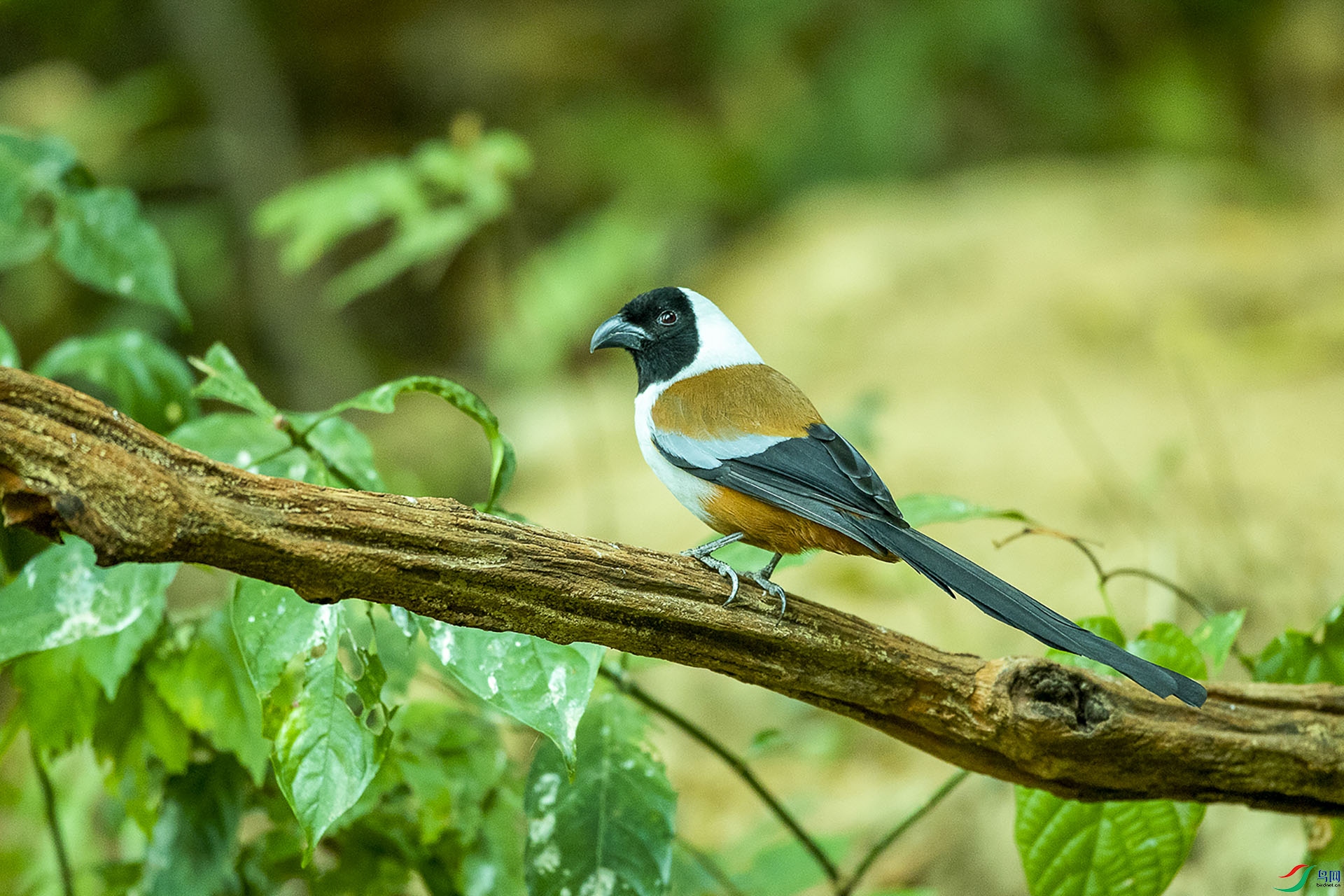 CD0I0877 ����.jpg