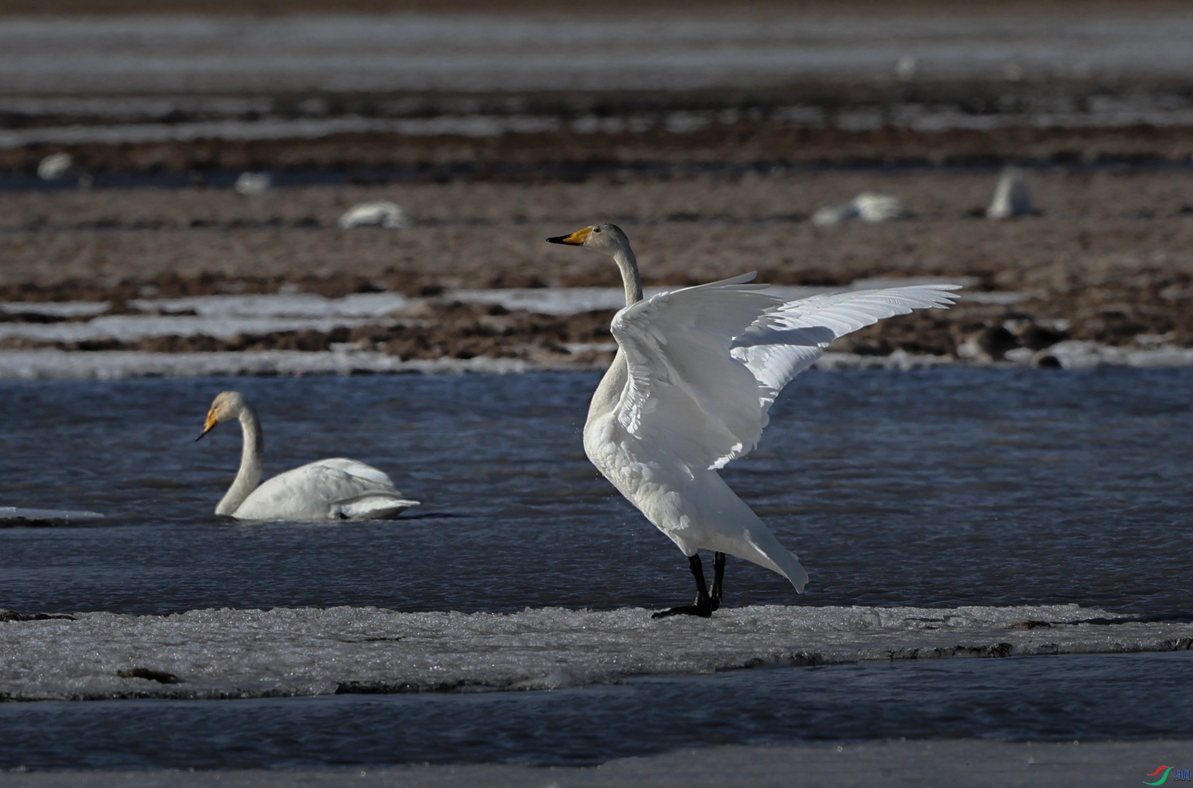�������ຣ���� - ����.jpg