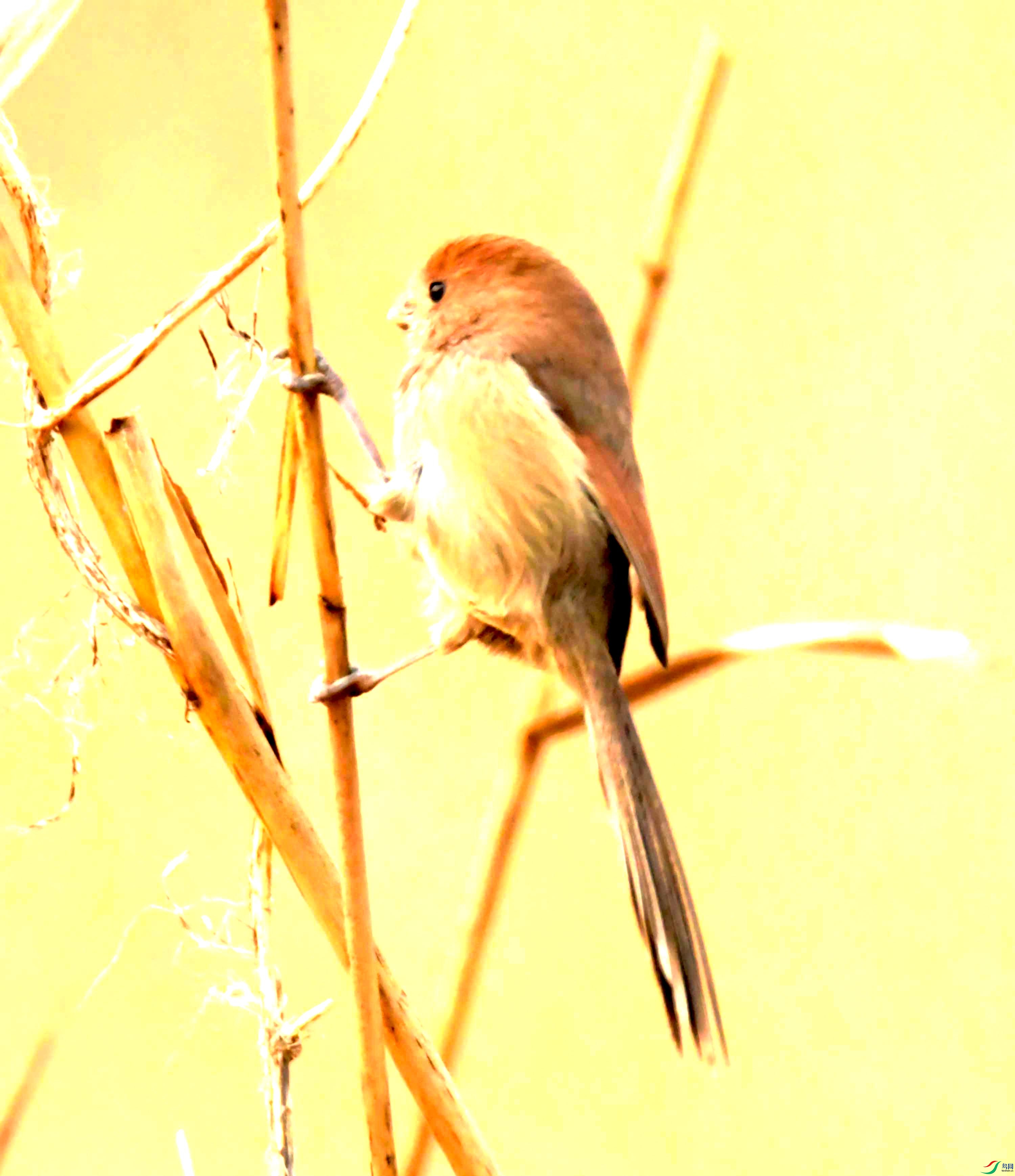 DSC_4069.JPG