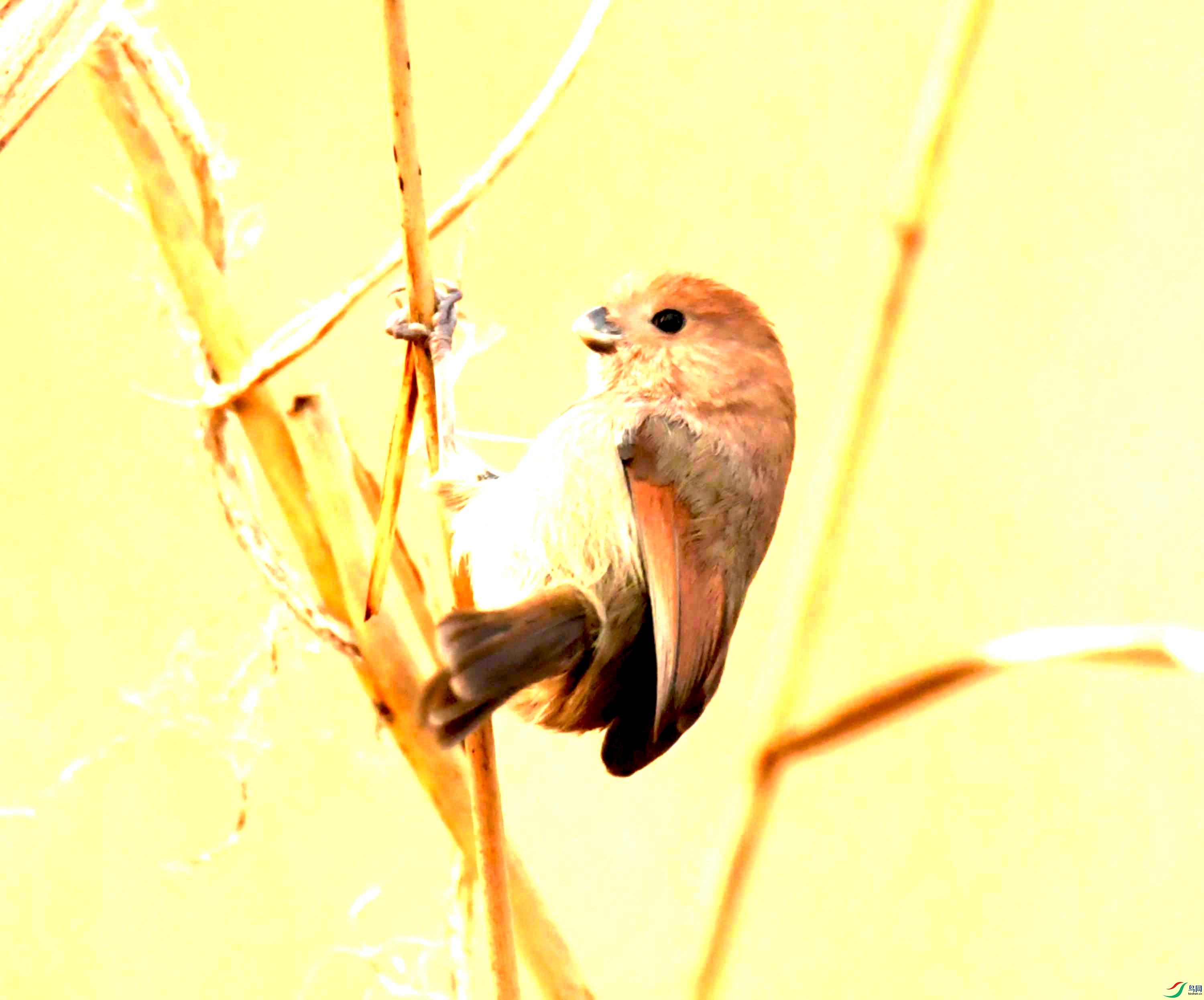 DSC_4067.JPG