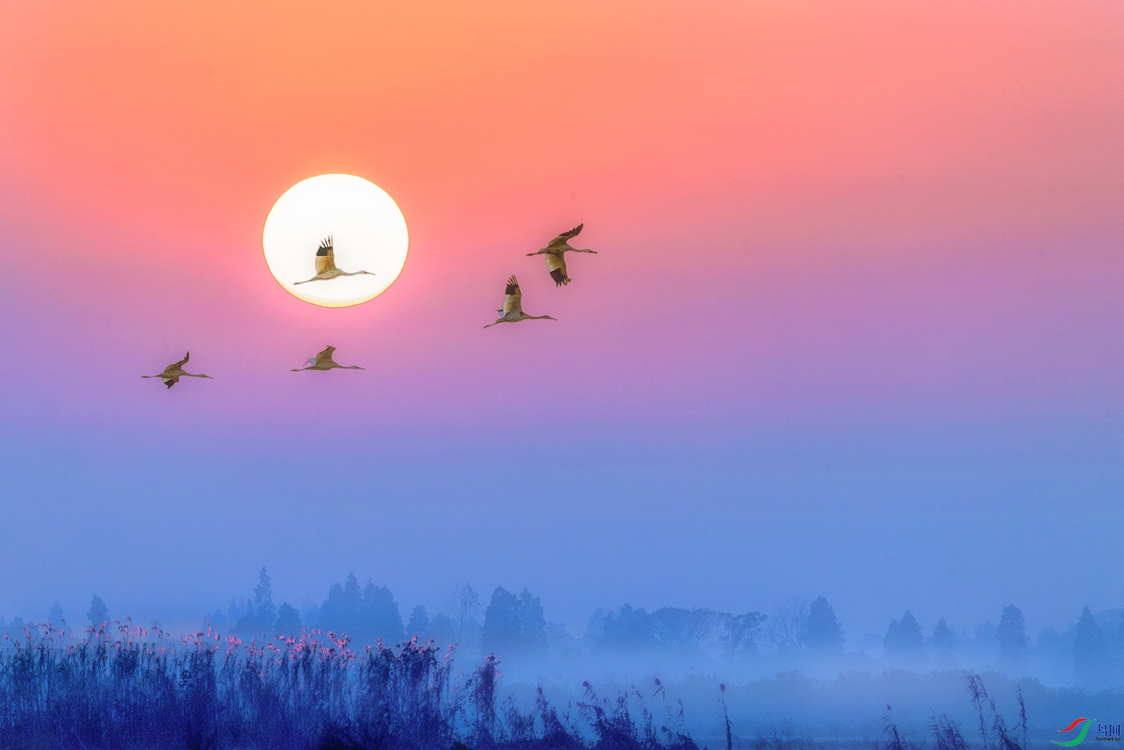 �׺�----��������ס�׹�·