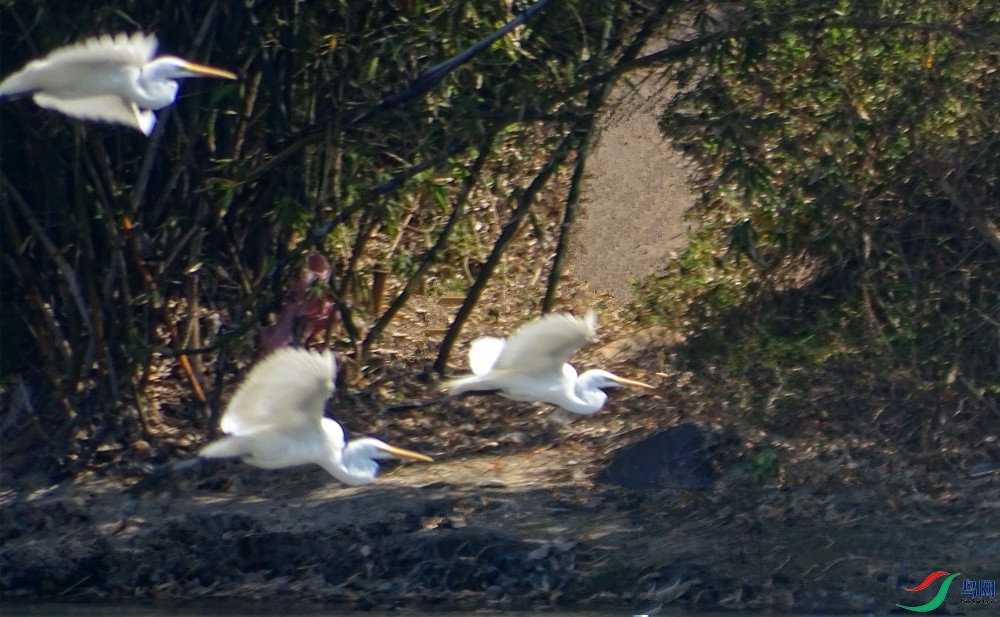 DSC01631_����.jpg