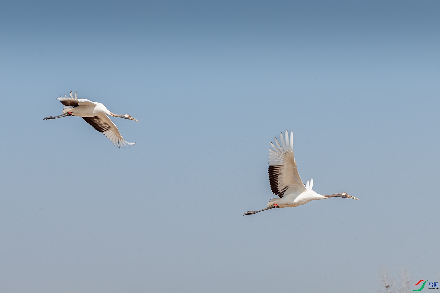 DSC_1872-3.jpg